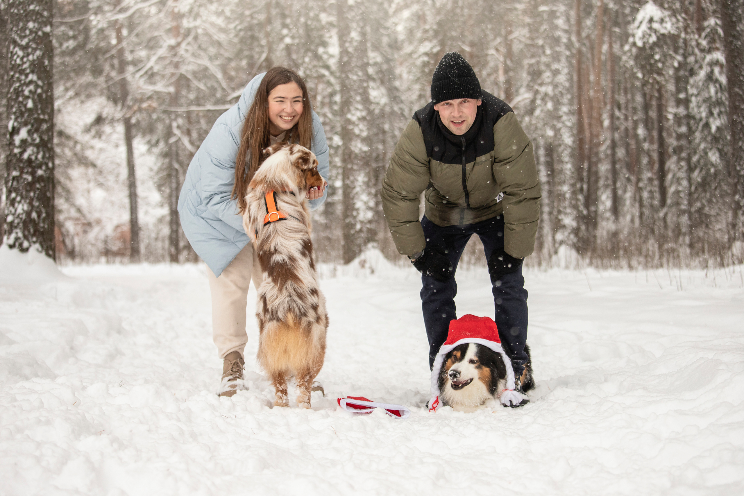 Делик, Скай и их семья. Фотограф — Анималист | Санкт-Петербург