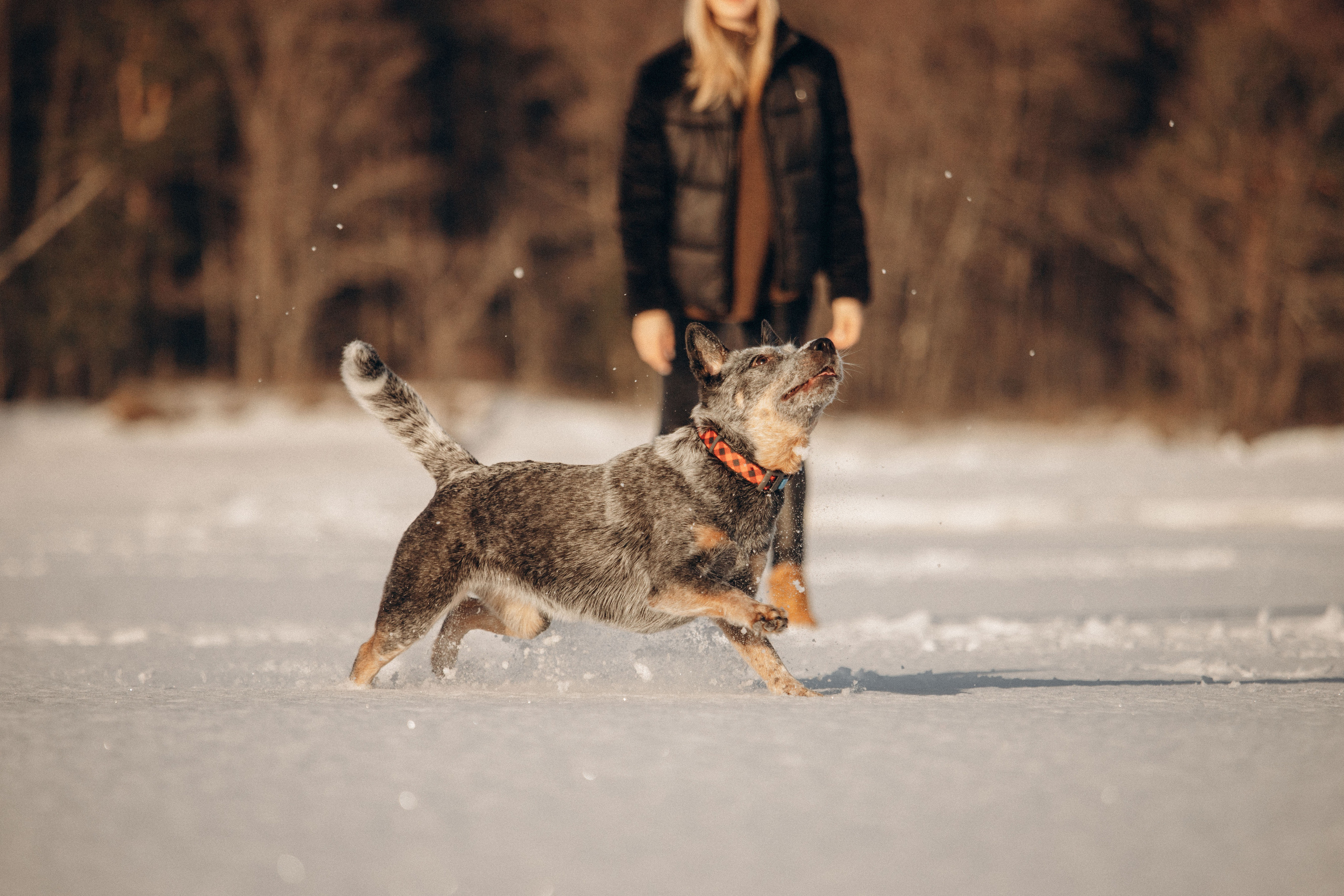 Оля и Мотя. Фотограф — Анималист | Санкт-Петербург