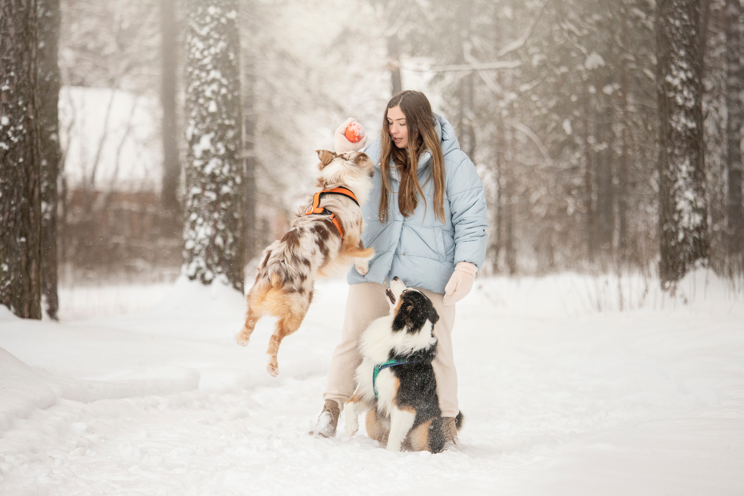 Делик, Скай и их семья. Фотограф — Анималист | Санкт-Петербург