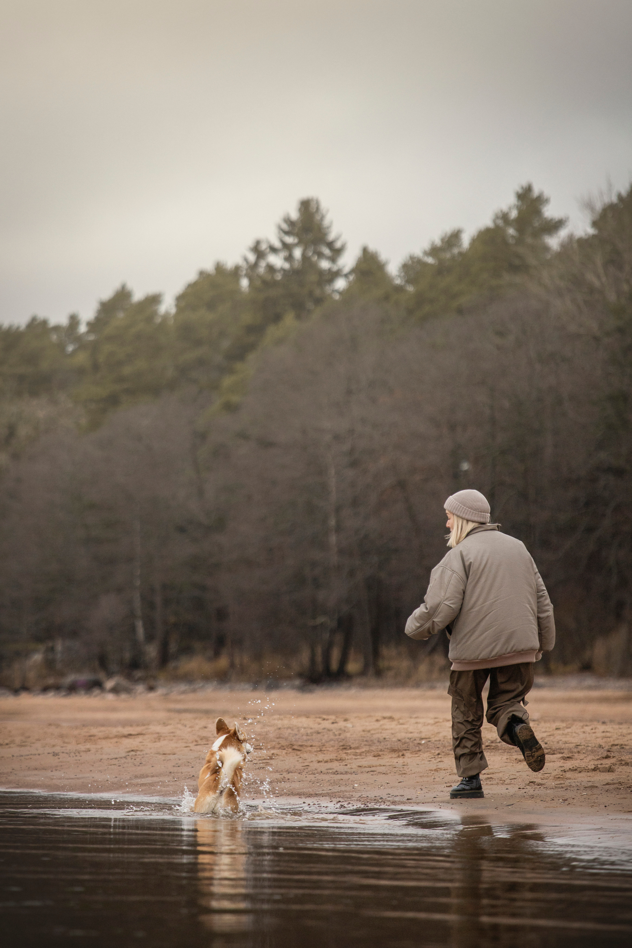 Барни и его семья. Фотограф — Анималист | Санкт-Петербург