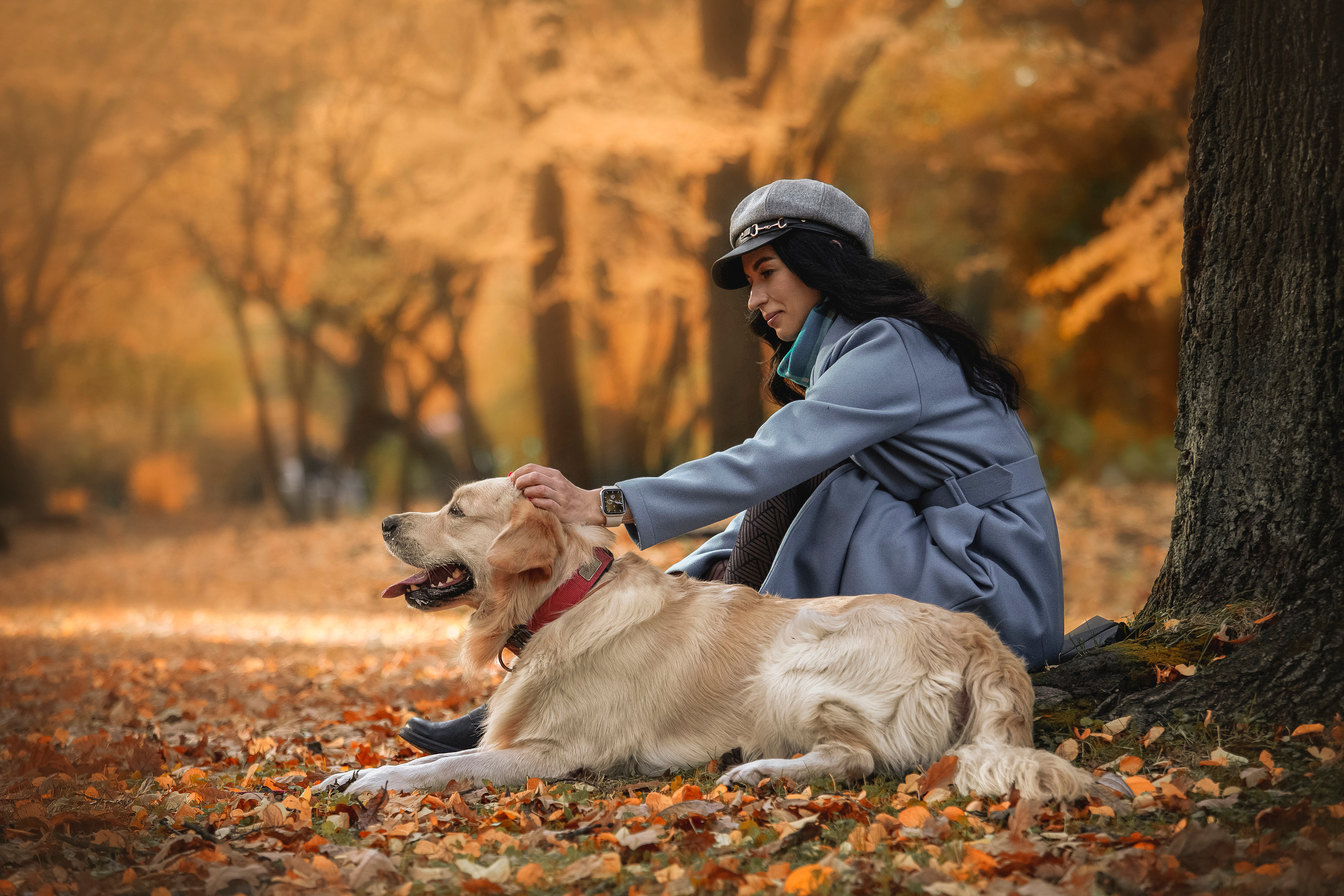 Лёвушка и его семья. Фотограф — Анималист | Санкт-Петербург