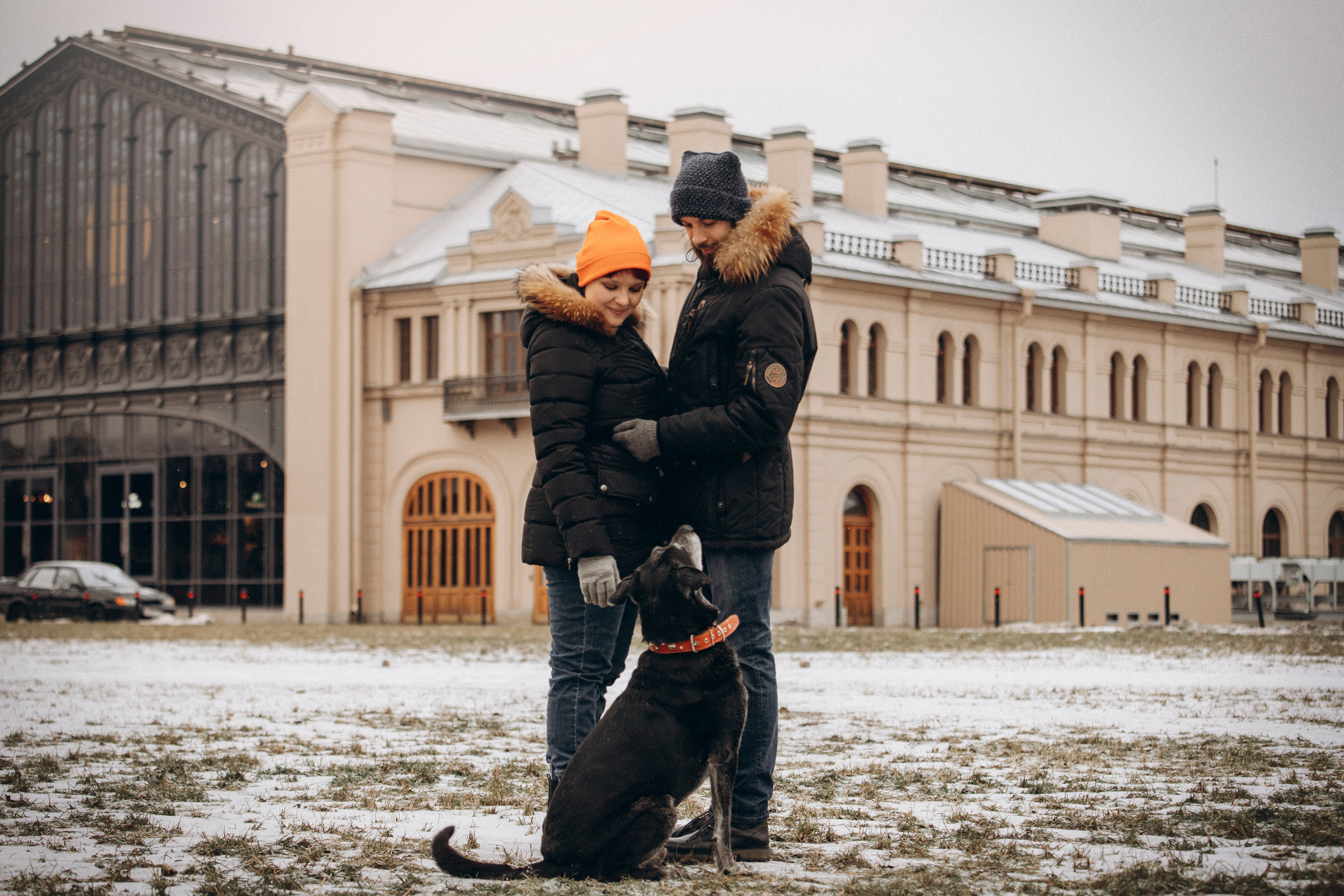 Ангус и его семья. Фотограф — Анималист | Санкт-Петербург