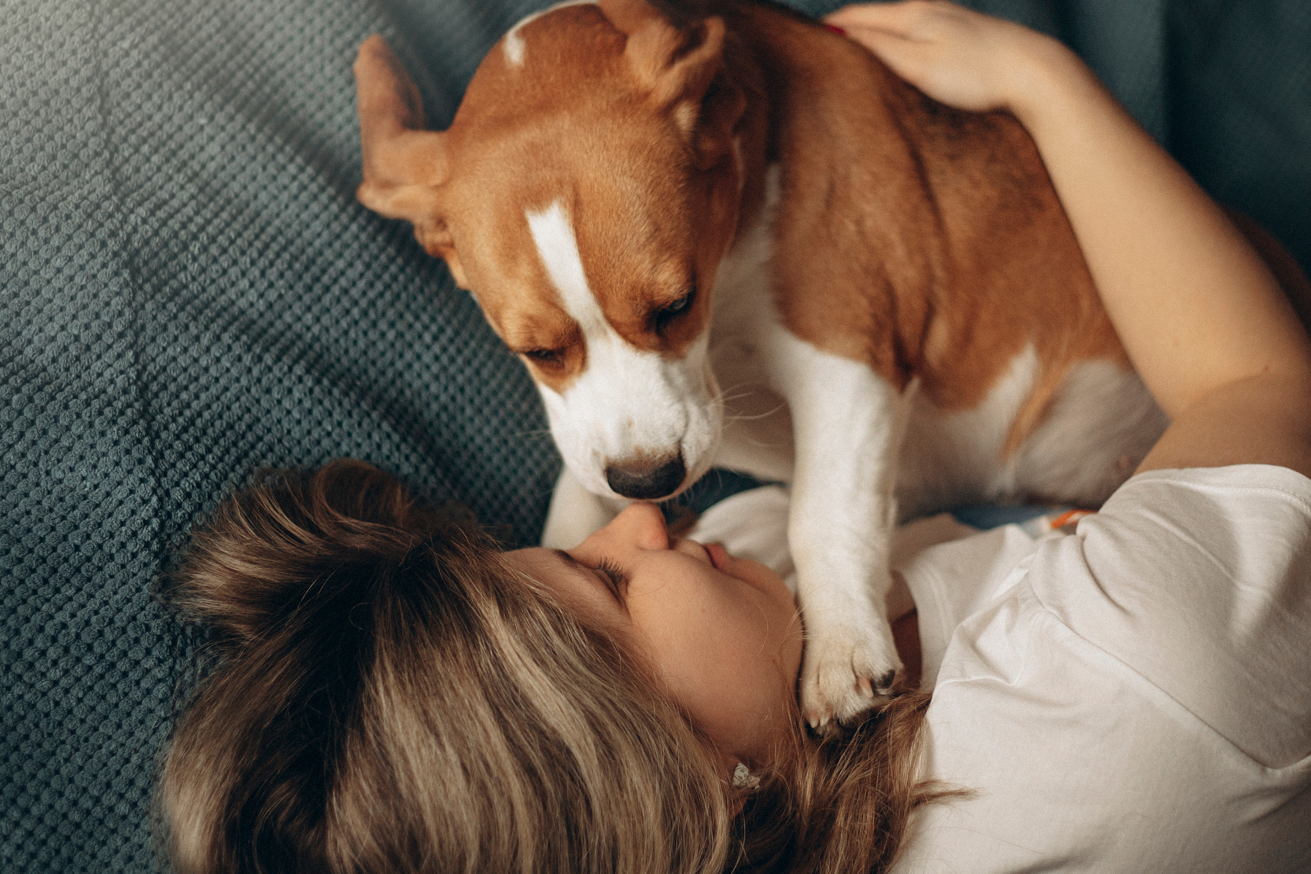 Полина и Бетти. Фотограф — Анималист | Санкт-Петербург