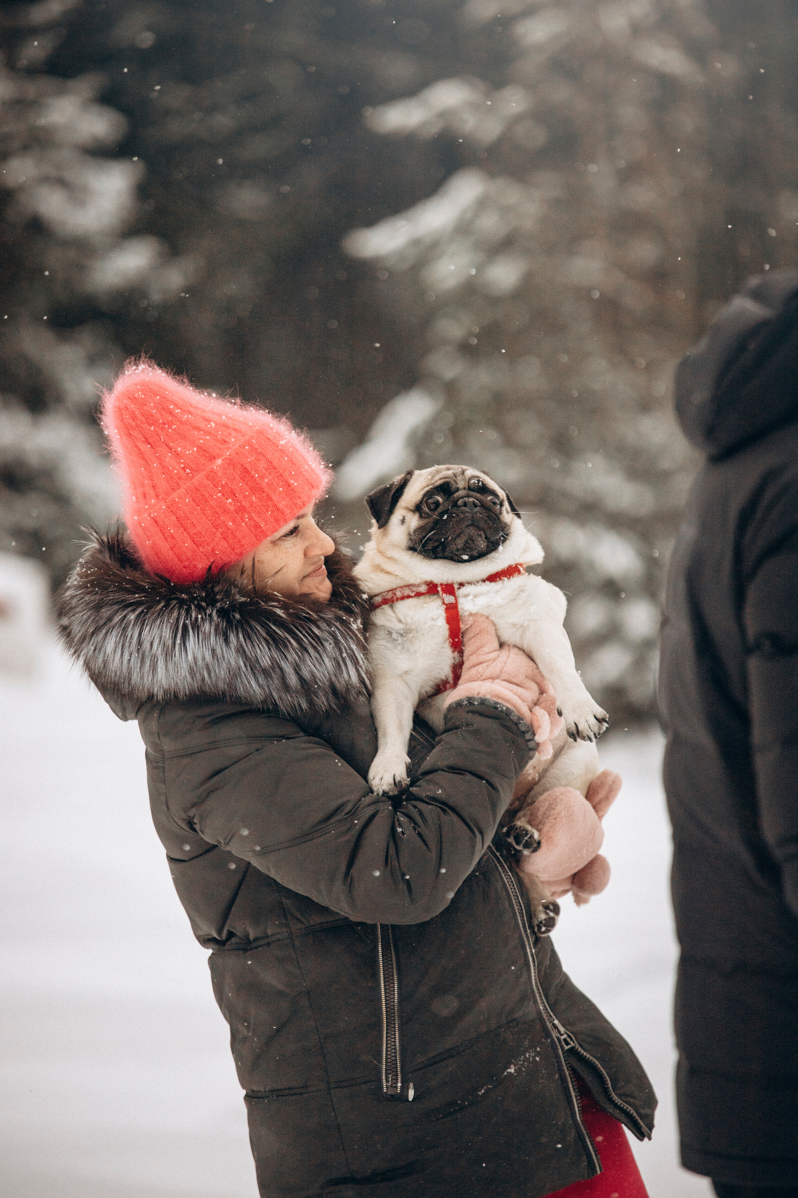 Марго, Степа и их семья. Фотограф — Анималист | Санкт-Петербург