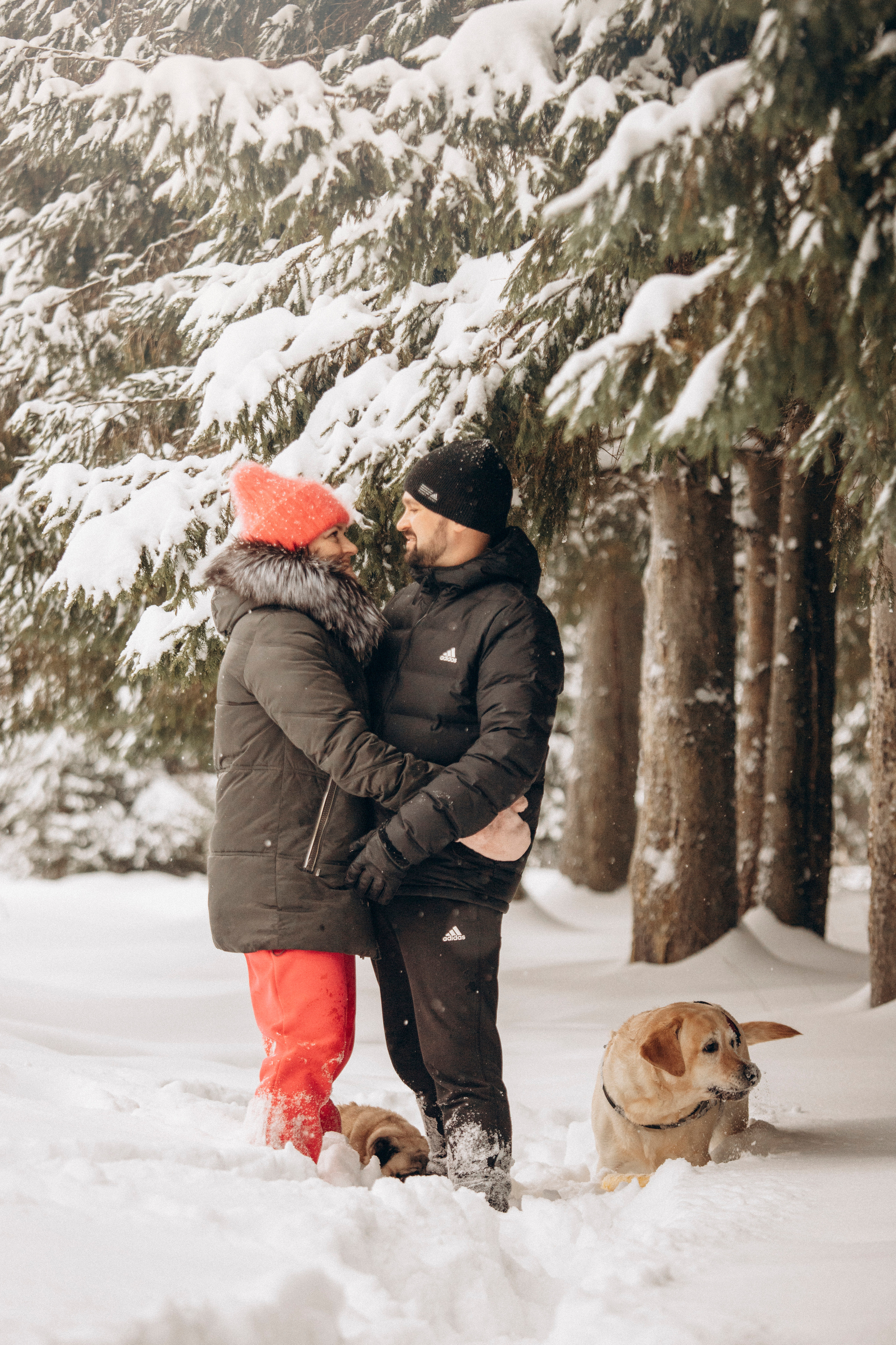 Марго, Степа и их семья. Фотограф — Анималист | Санкт-Петербург