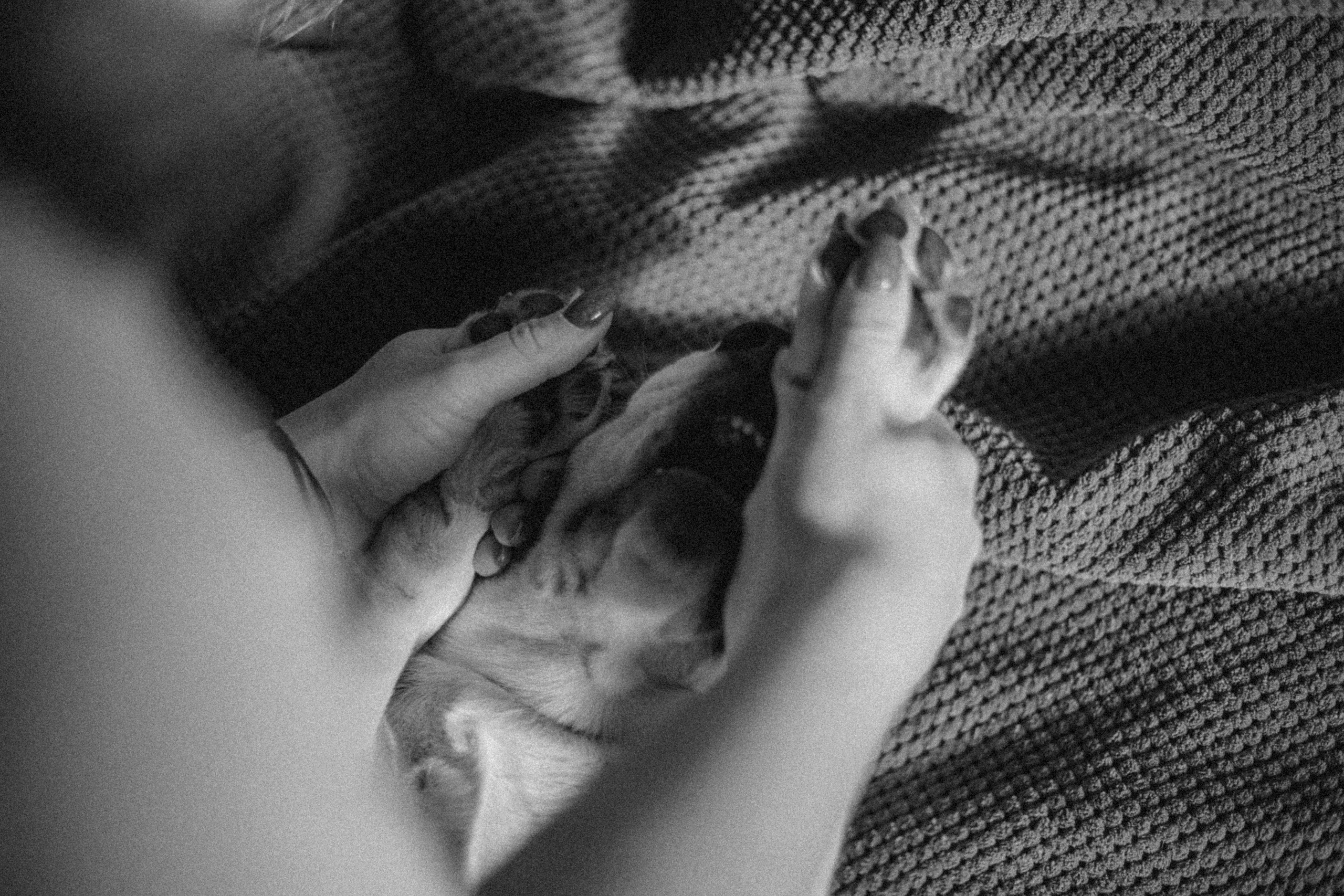 Полина и Бетти. Фотограф — Анималист | Санкт-Петербург