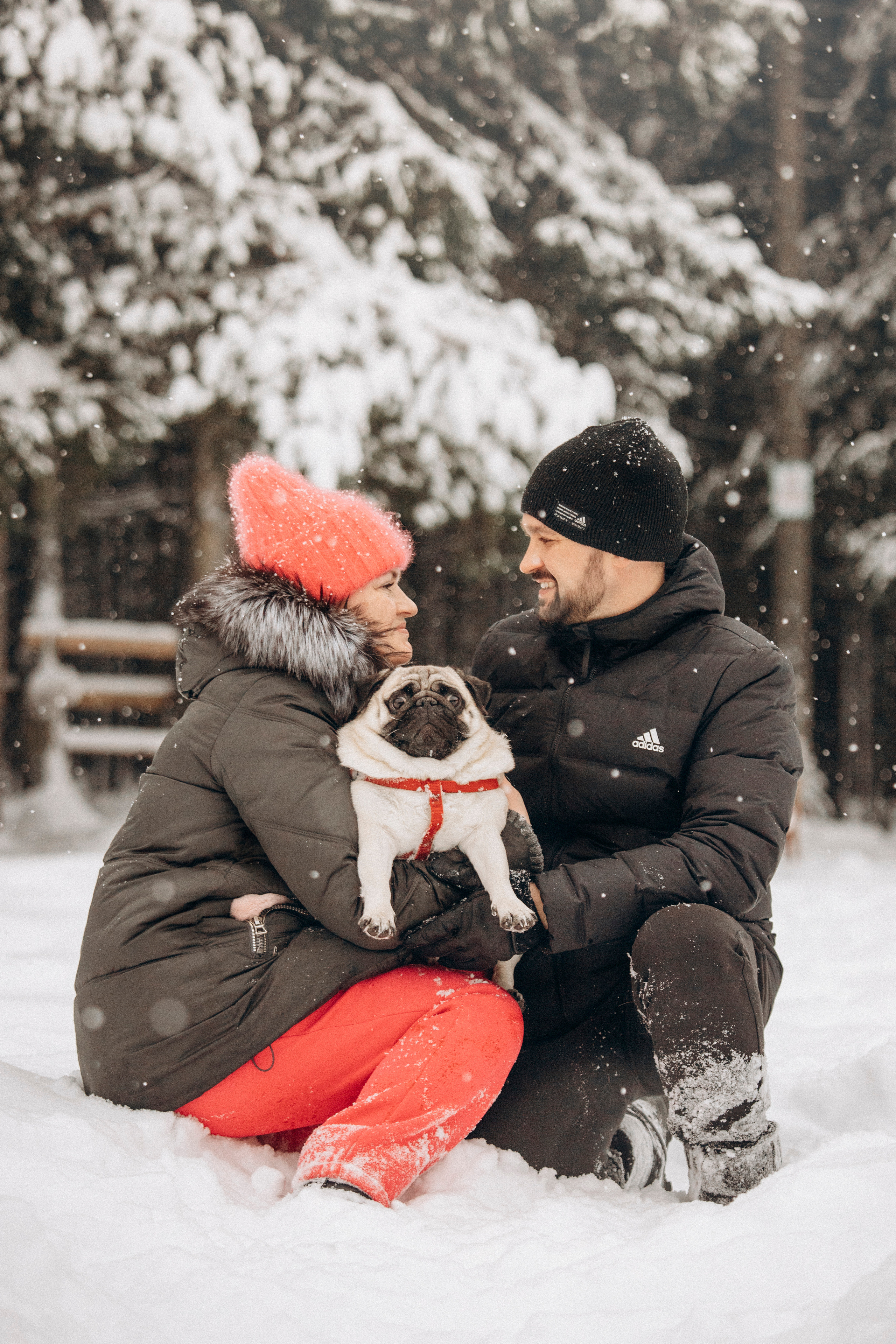Марго, Степа и их семья. Фотограф — Анималист | Санкт-Петербург