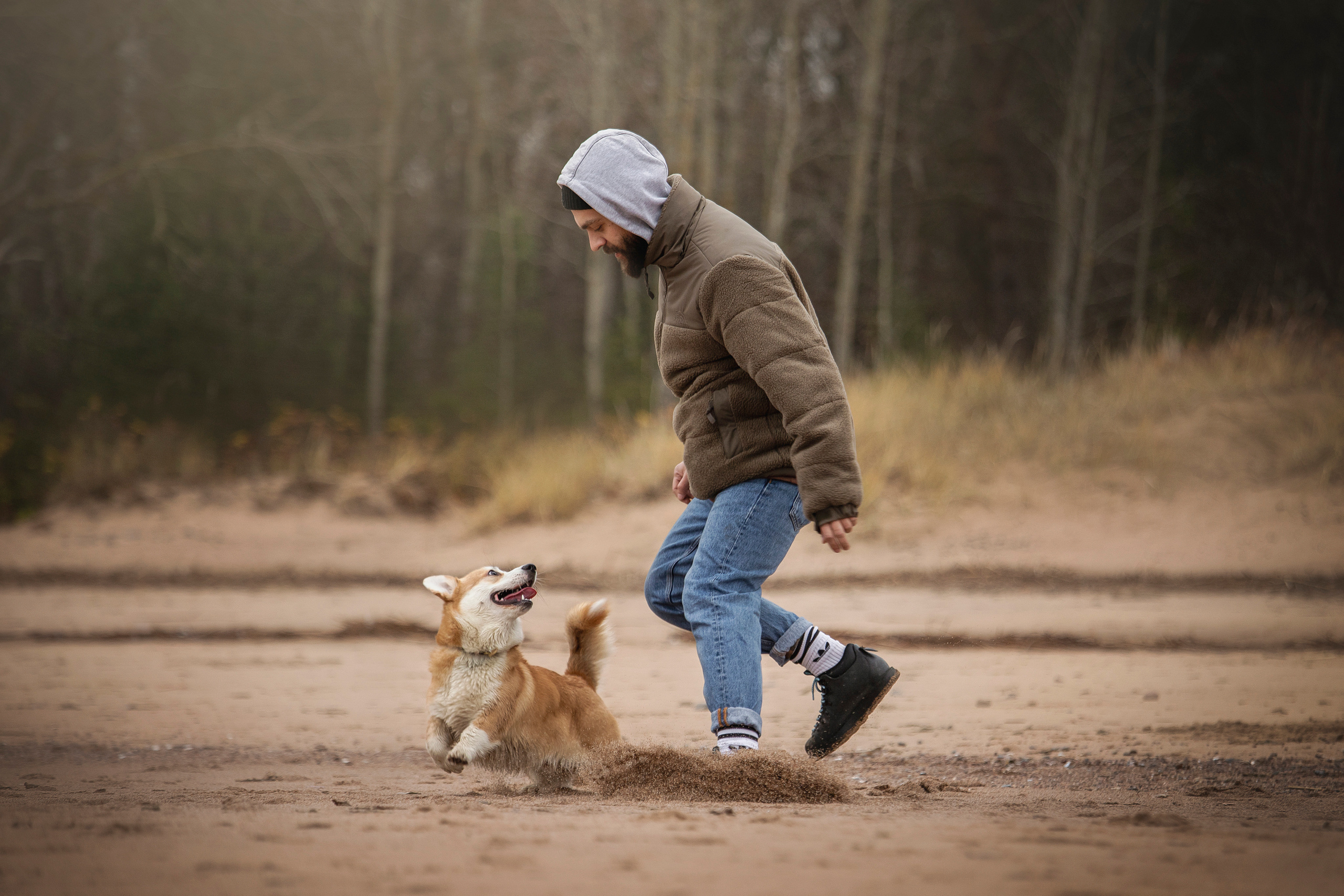 Барни и его семья. Фотограф — Анималист | Санкт-Петербург