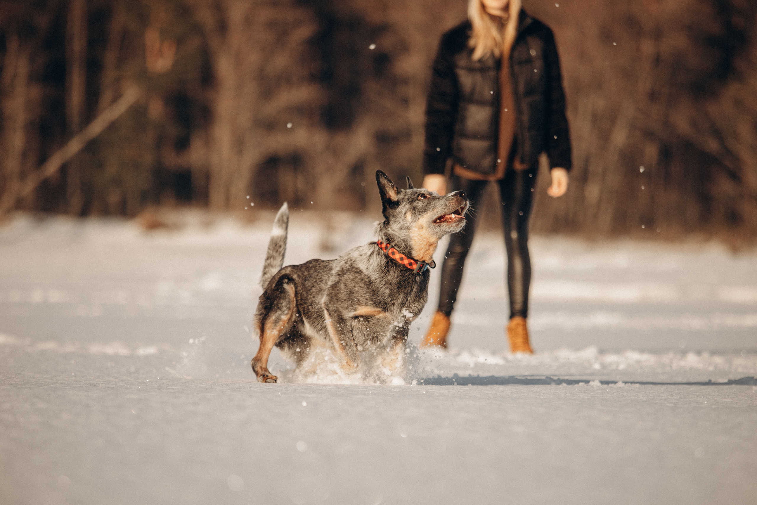 Оля и Мотя. Фотограф — Анималист | Санкт-Петербург