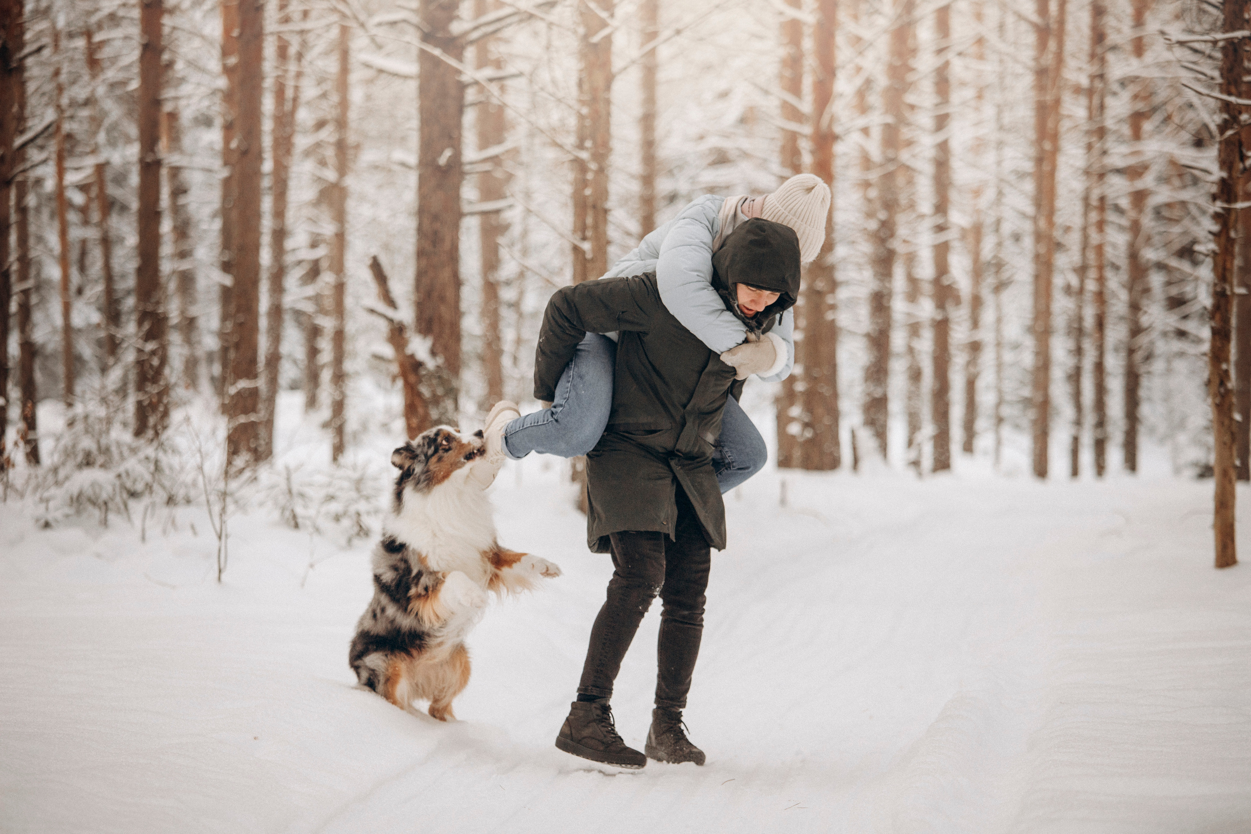 Айк и его семья. Фотограф — Анималист | Санкт-Петербург