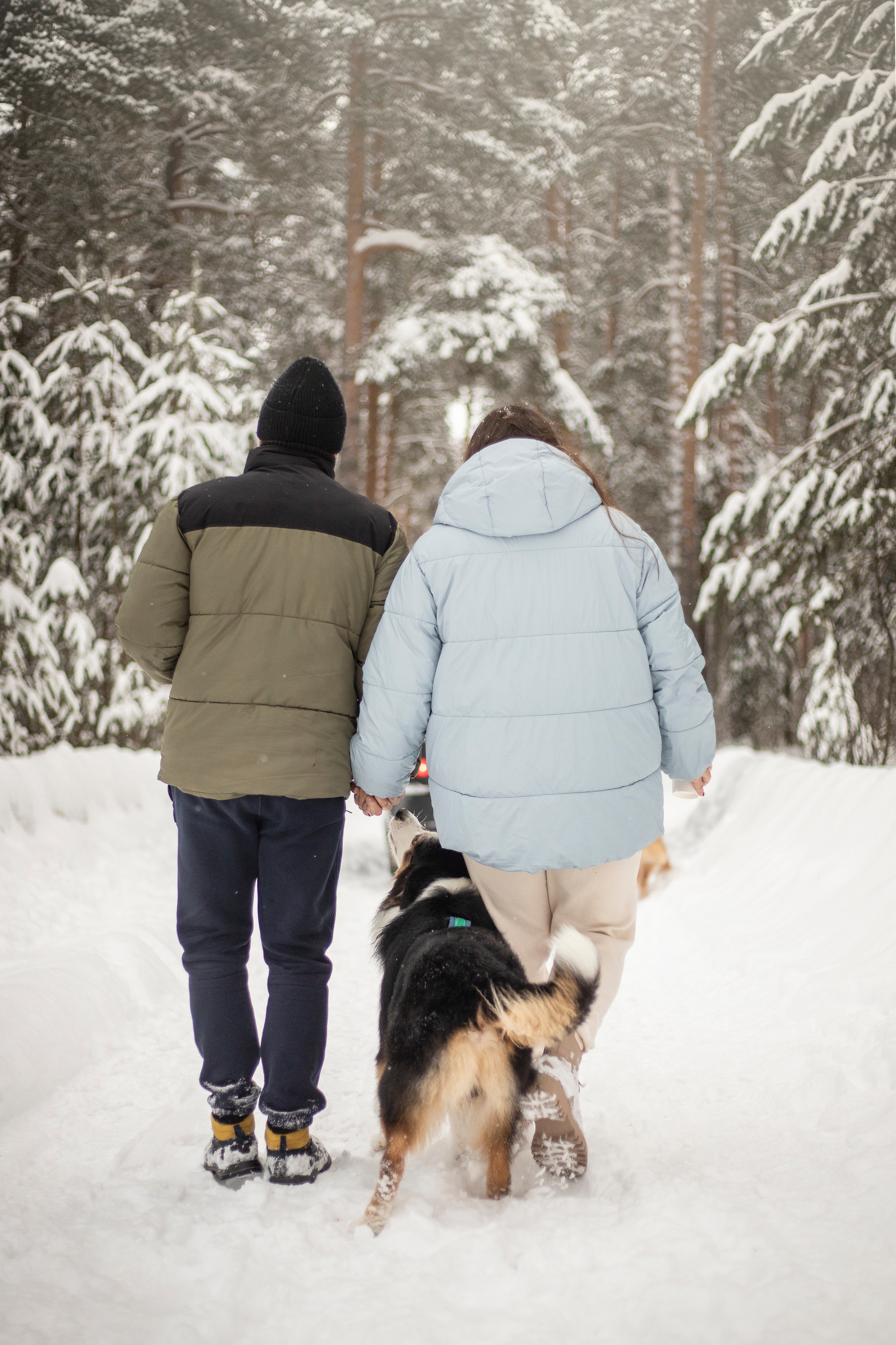 Делик, Скай и их семья. Фотограф — Анималист | Санкт-Петербург