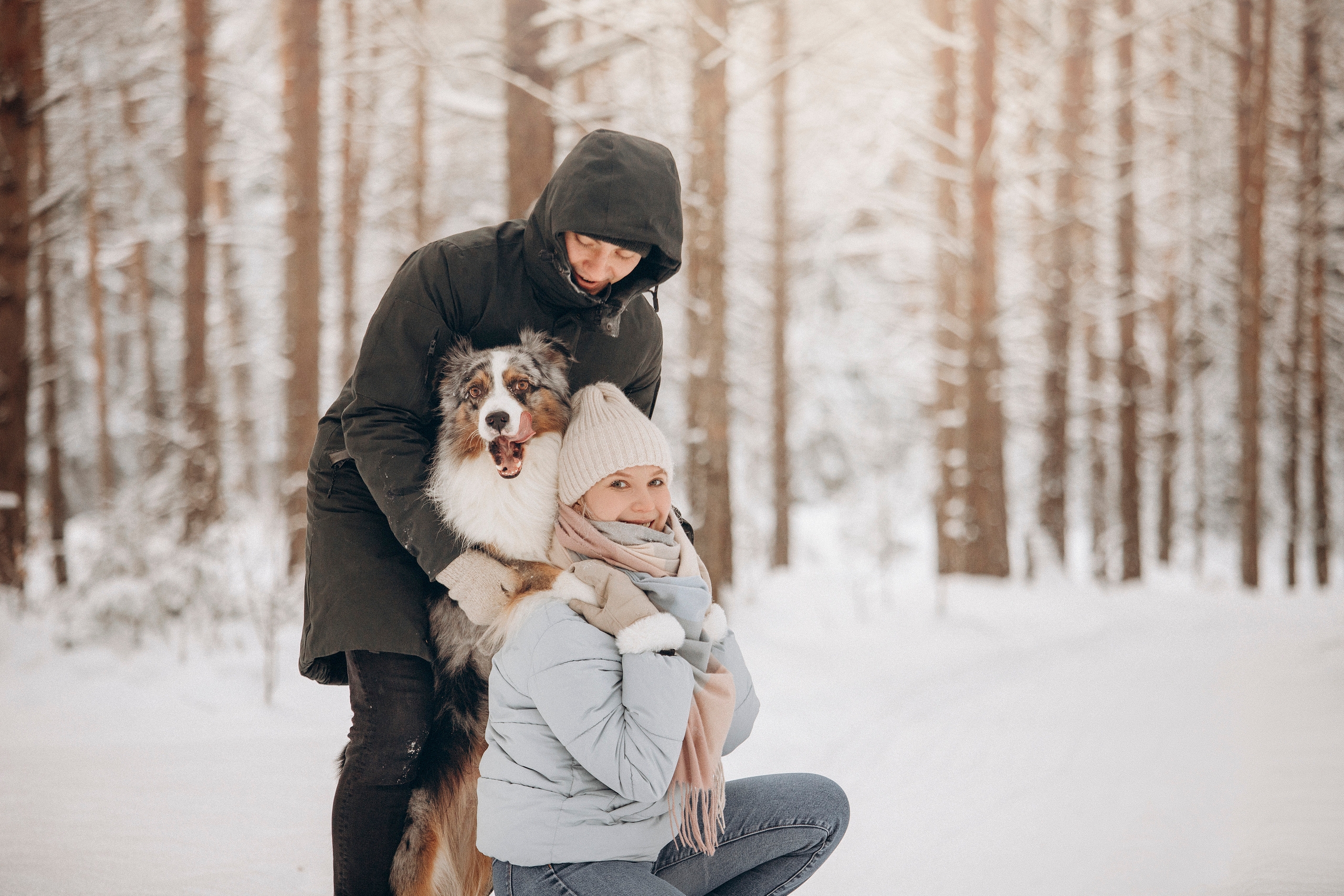 Айк и его семья. Фотограф — Анималист | Санкт-Петербург