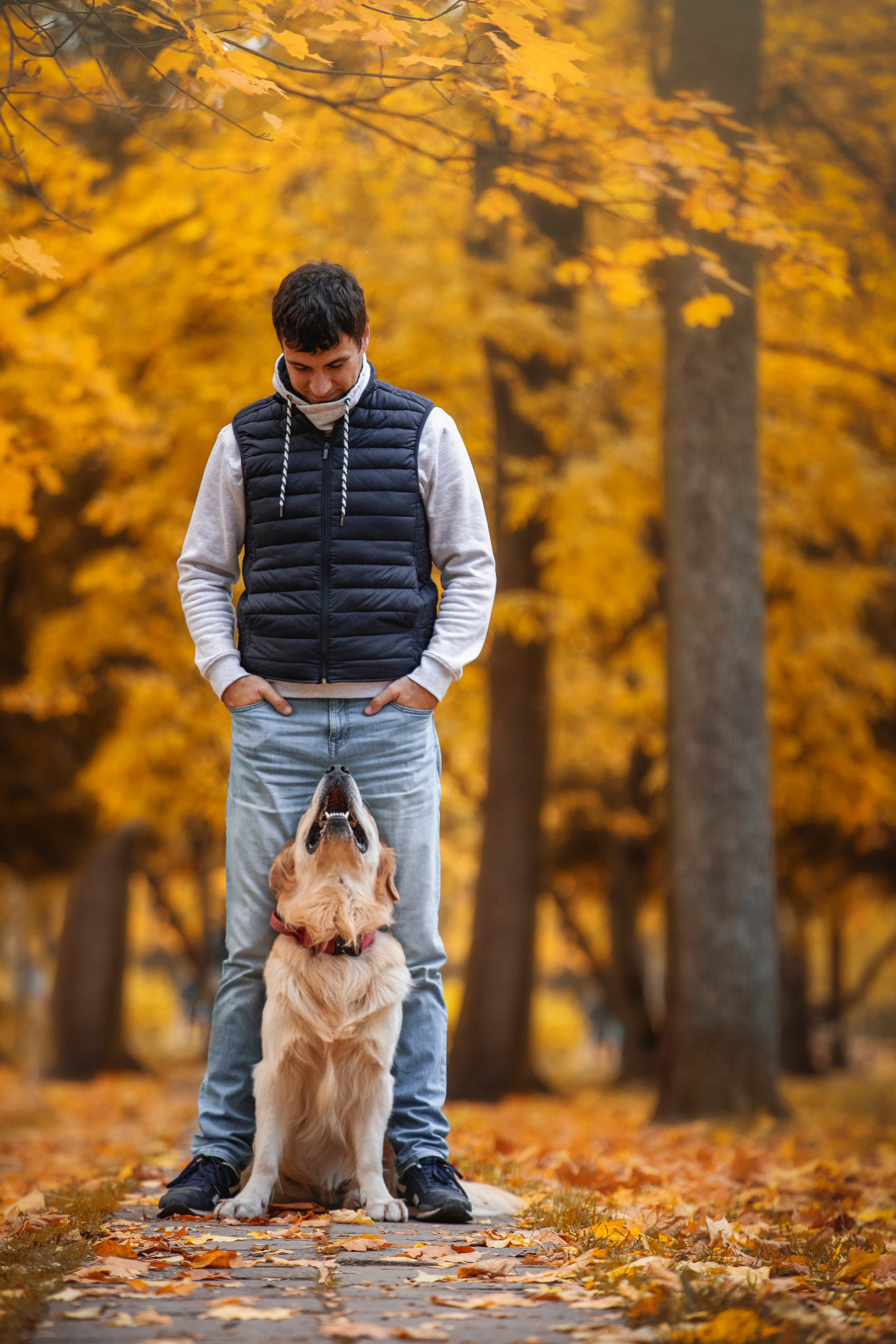 Лёвушка и его семья. Фотограф — Анималист | Санкт-Петербург