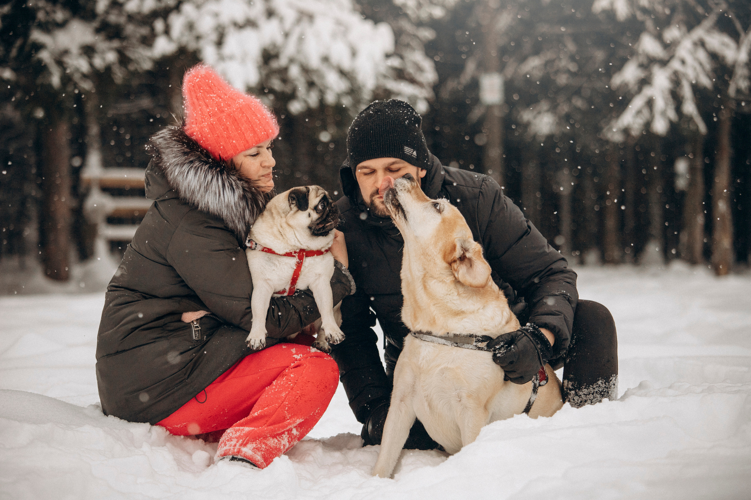 Марго, Степа и их семья. Фотограф — Анималист | Санкт-Петербург