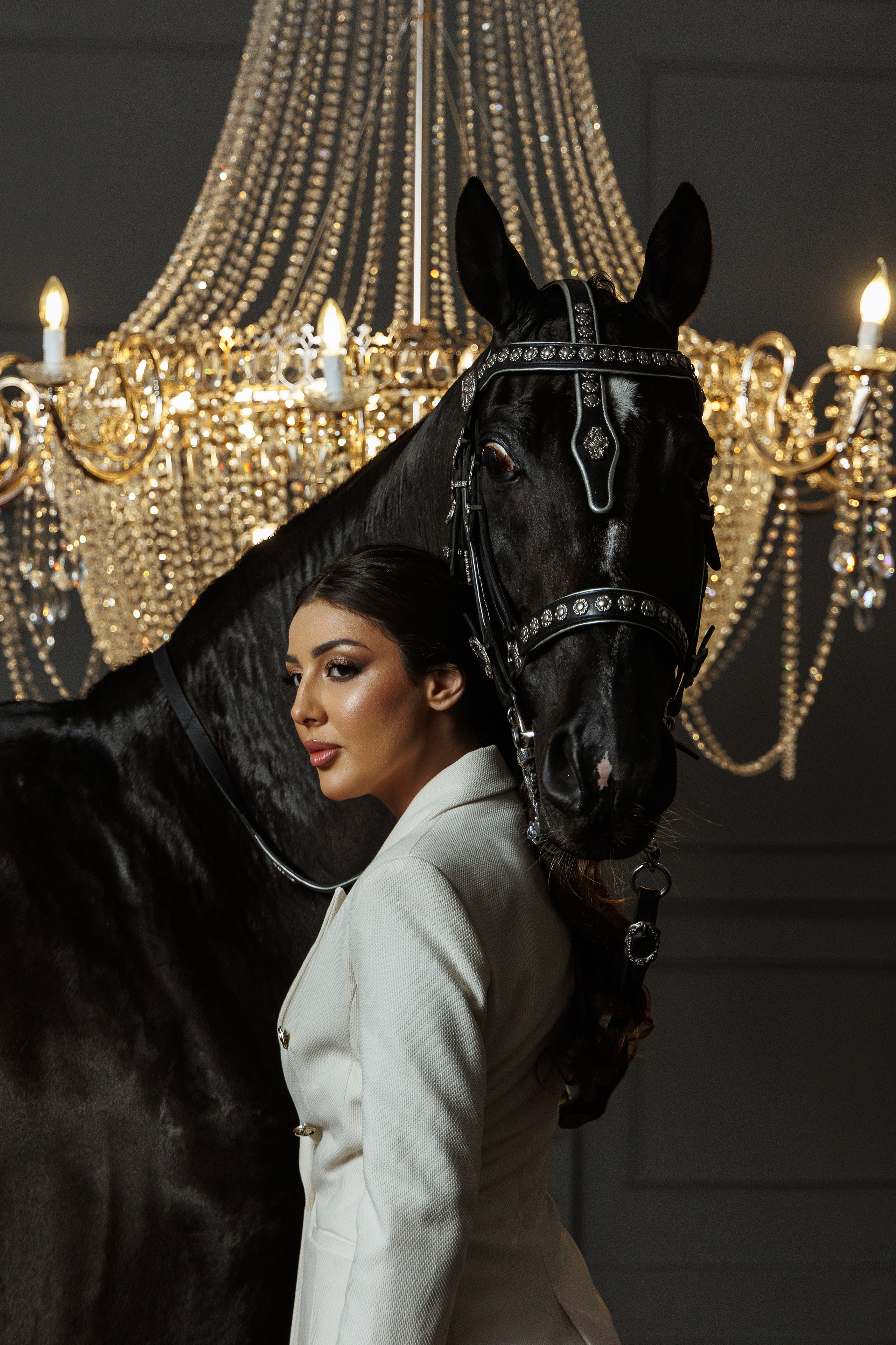 Лошадь в особняке. Марковкина КрисТина