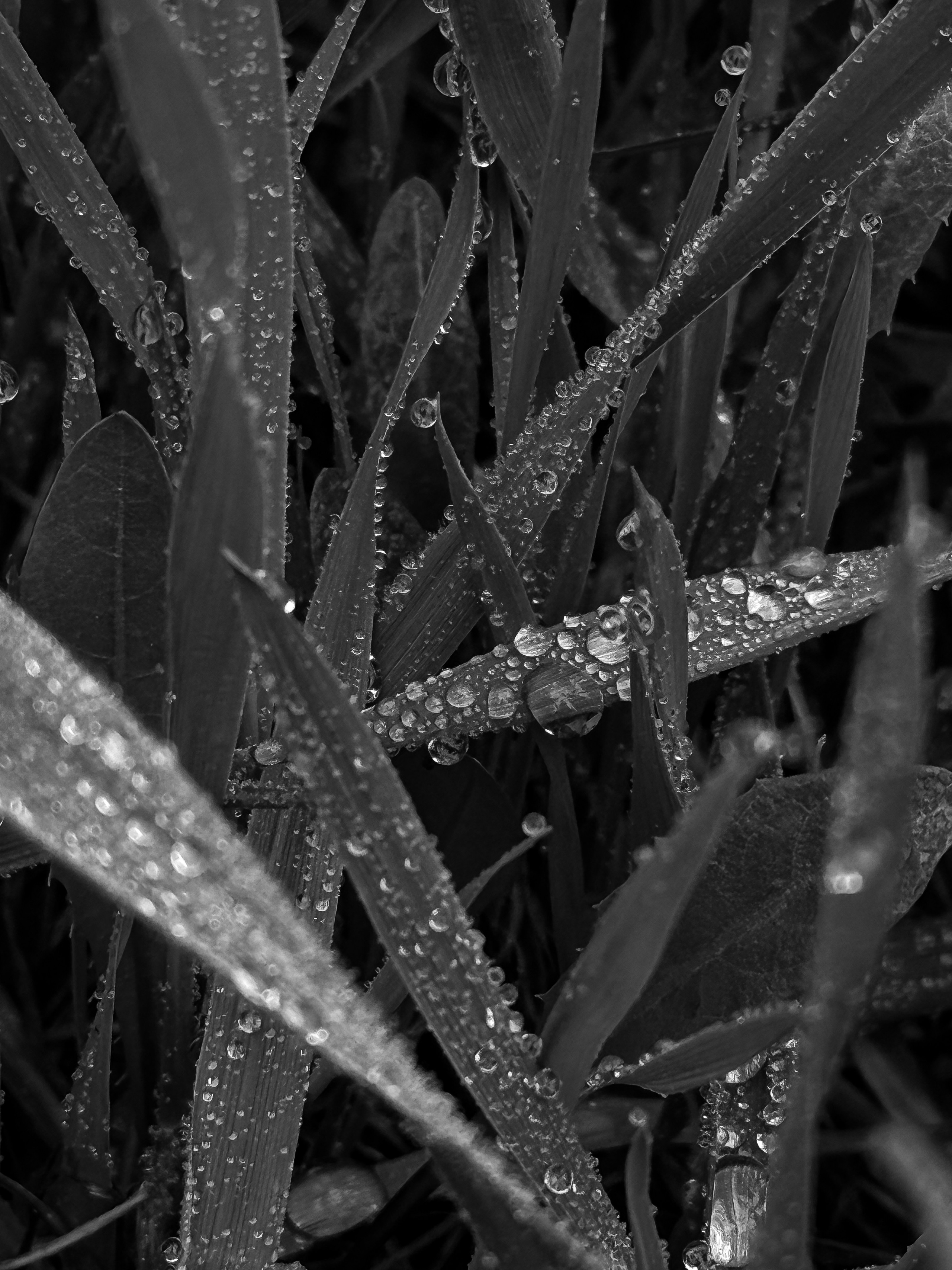 Все вокруг. Фотограф в Санкт-Петербурге / Красноярске Надежда Самошкина