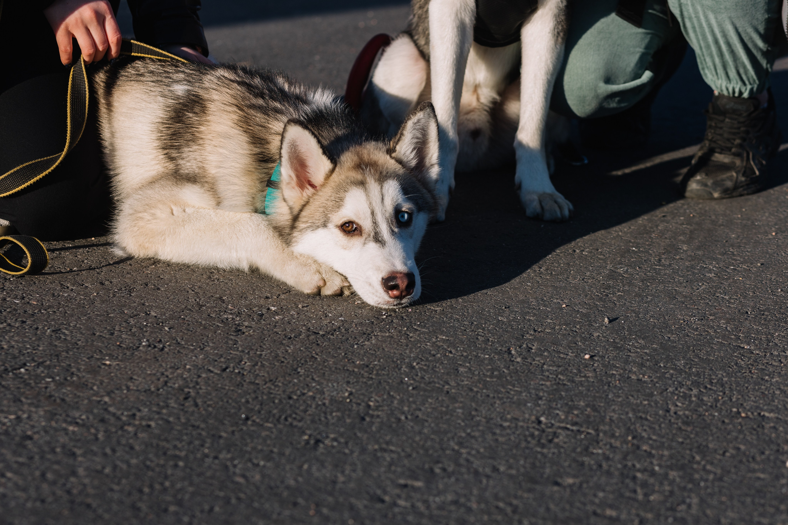 День города Мурманска, соревнования и забеги. Репортажный фотограф в Мурманской области