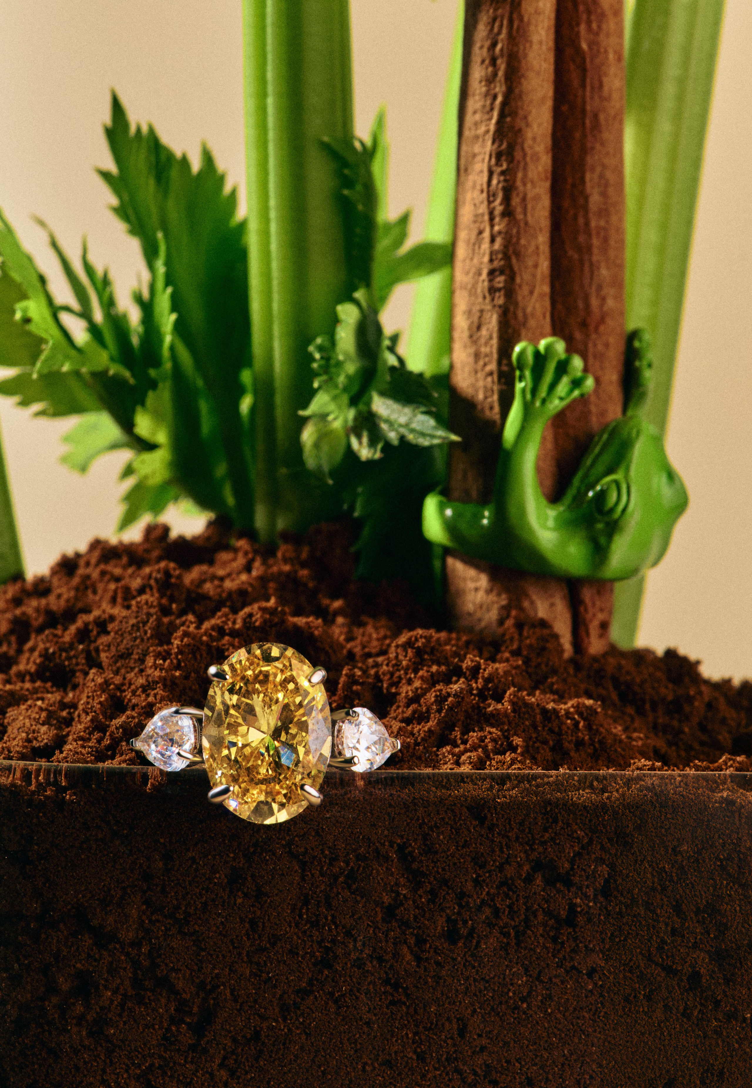 Jewelry. Retouching service