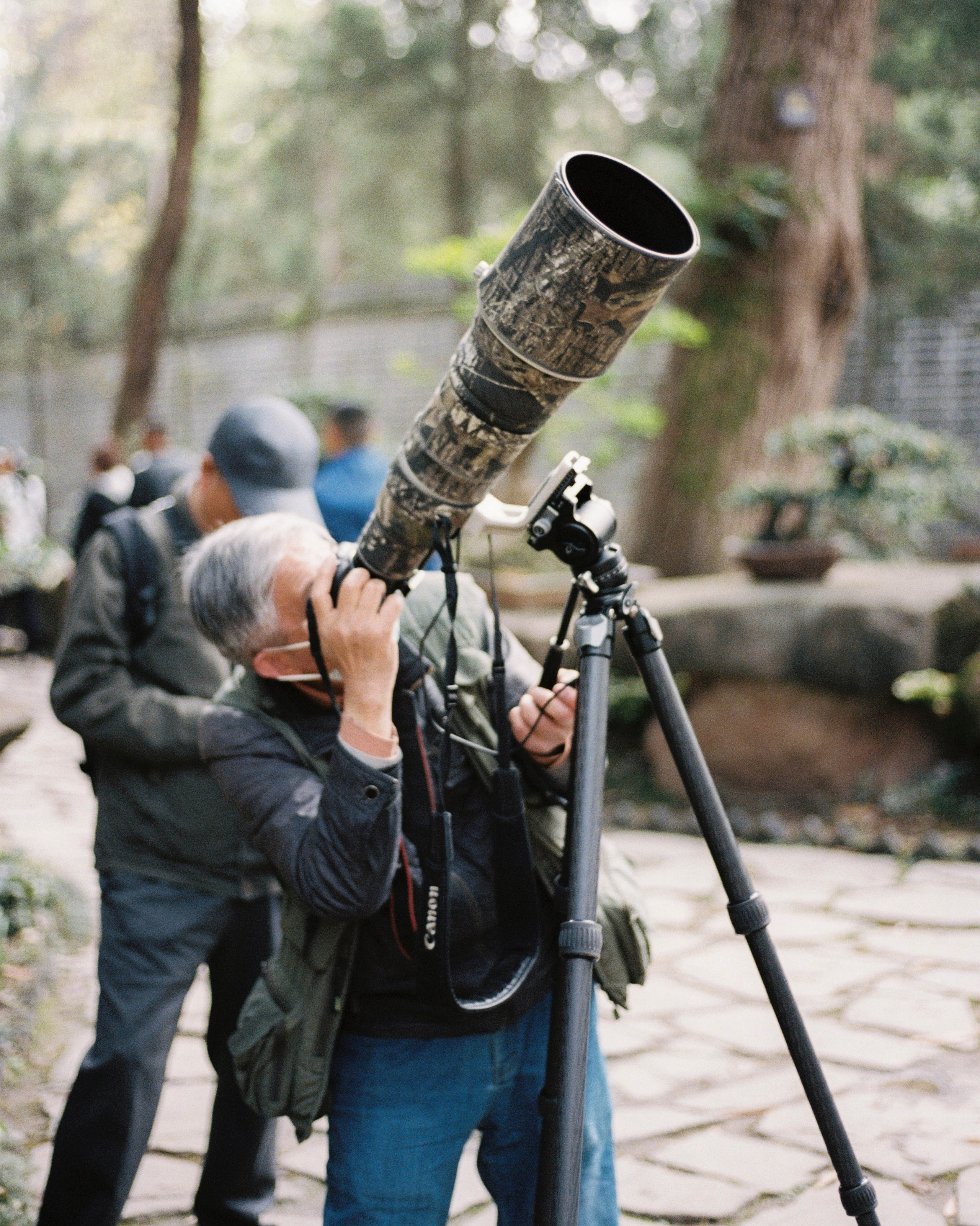 China. Kirill Shashkov