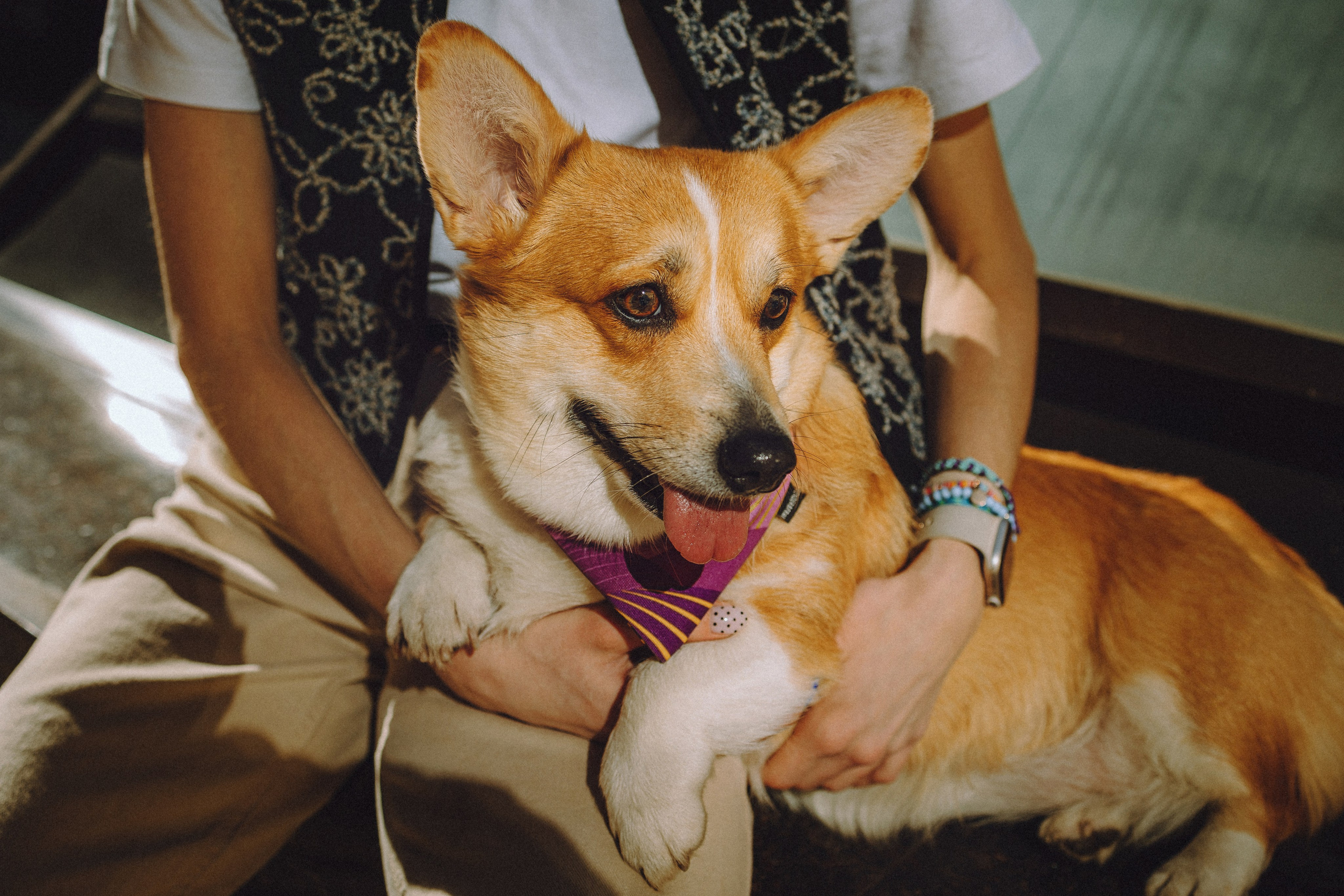 Вика и Мейзи