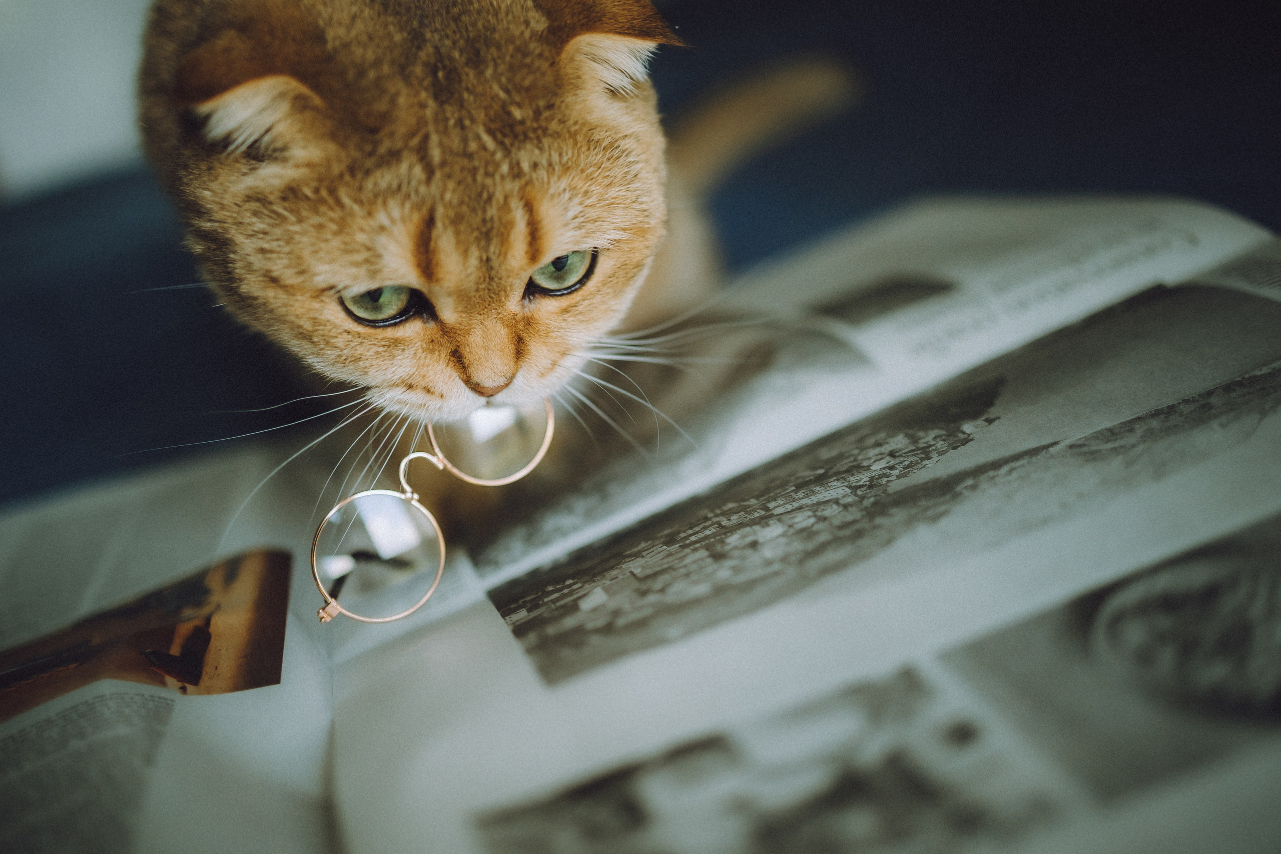 Генри и его семья