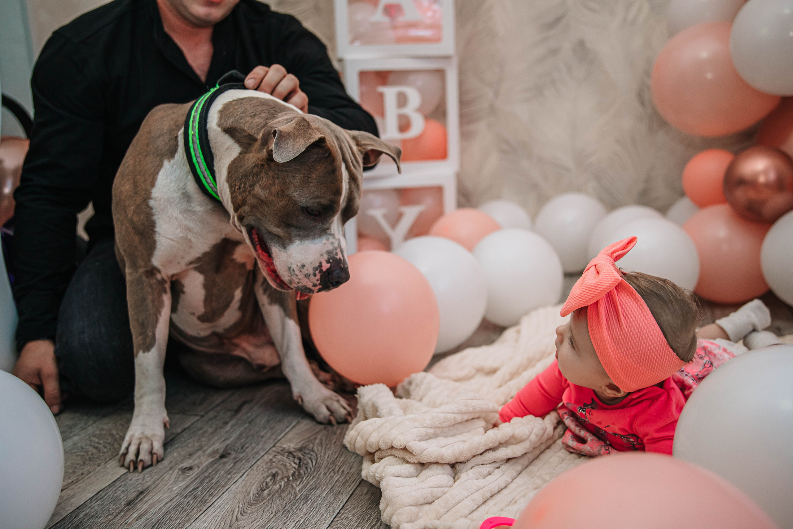Виталине пол годика!. Фотограф Дарья Маташкова