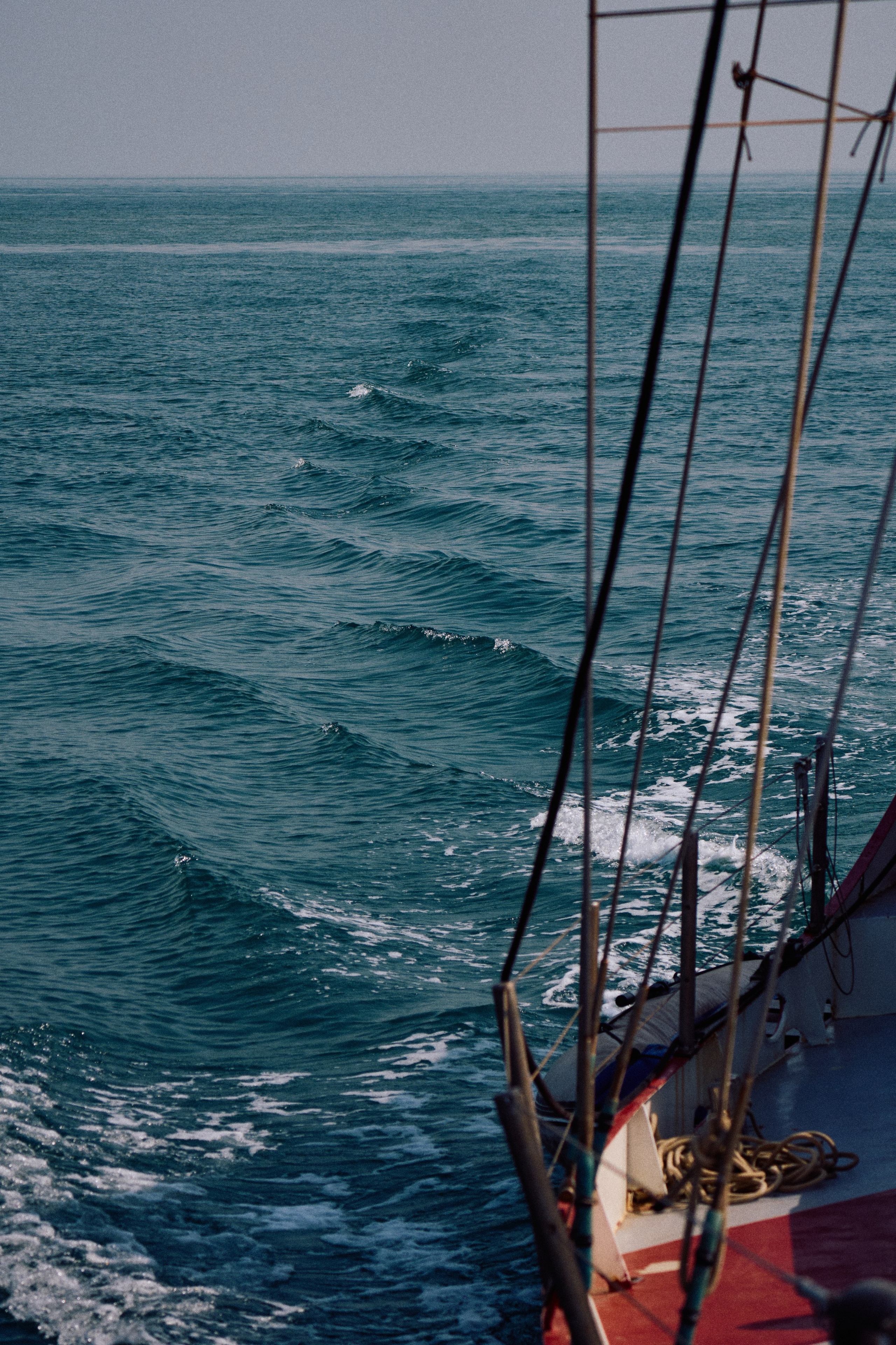 Guinea-Bissau. See the moment and catche. commercial and reportage