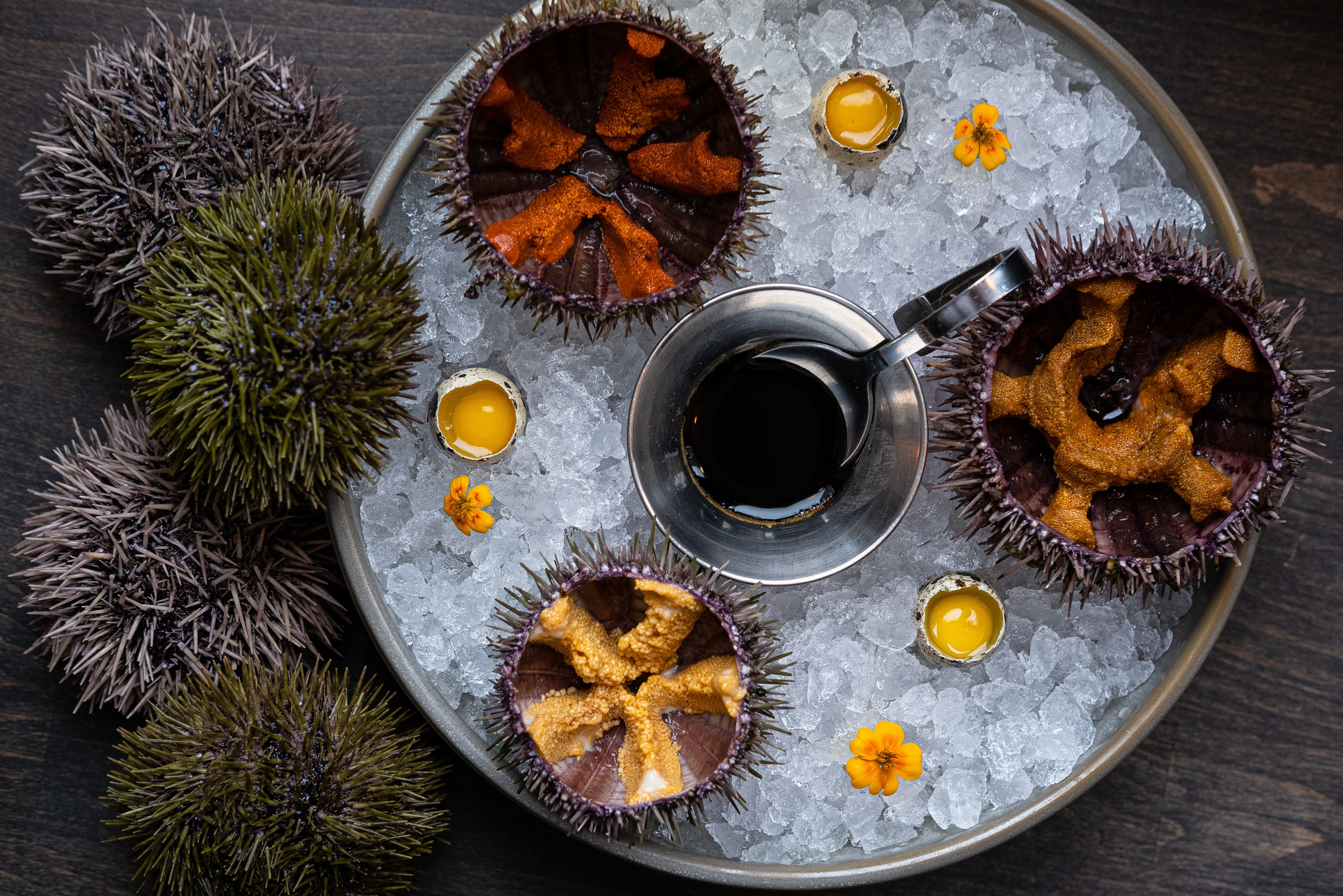 La Perla Seafood Bar. Главная