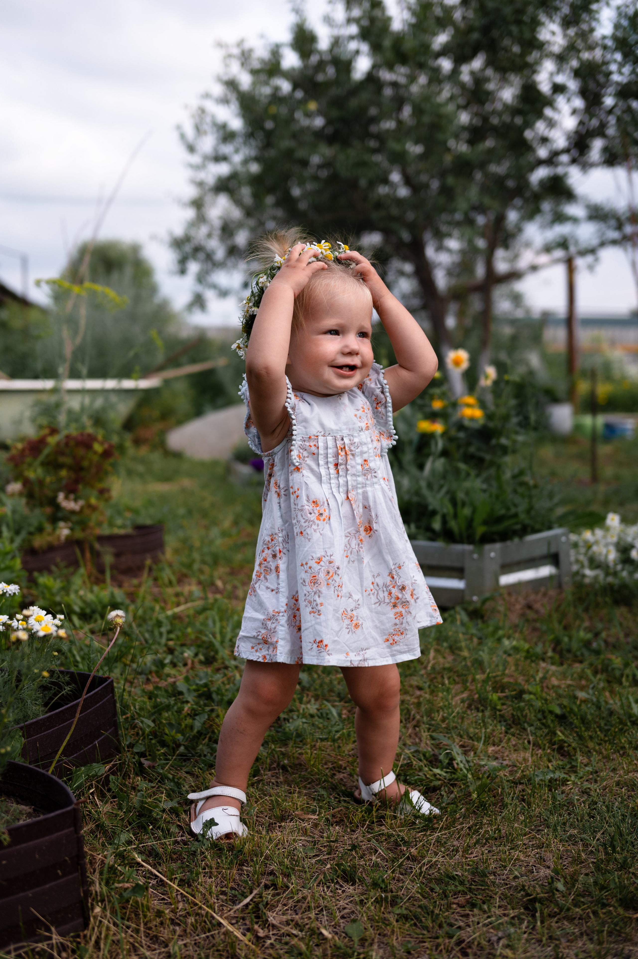 Ромашки и утята. Главная