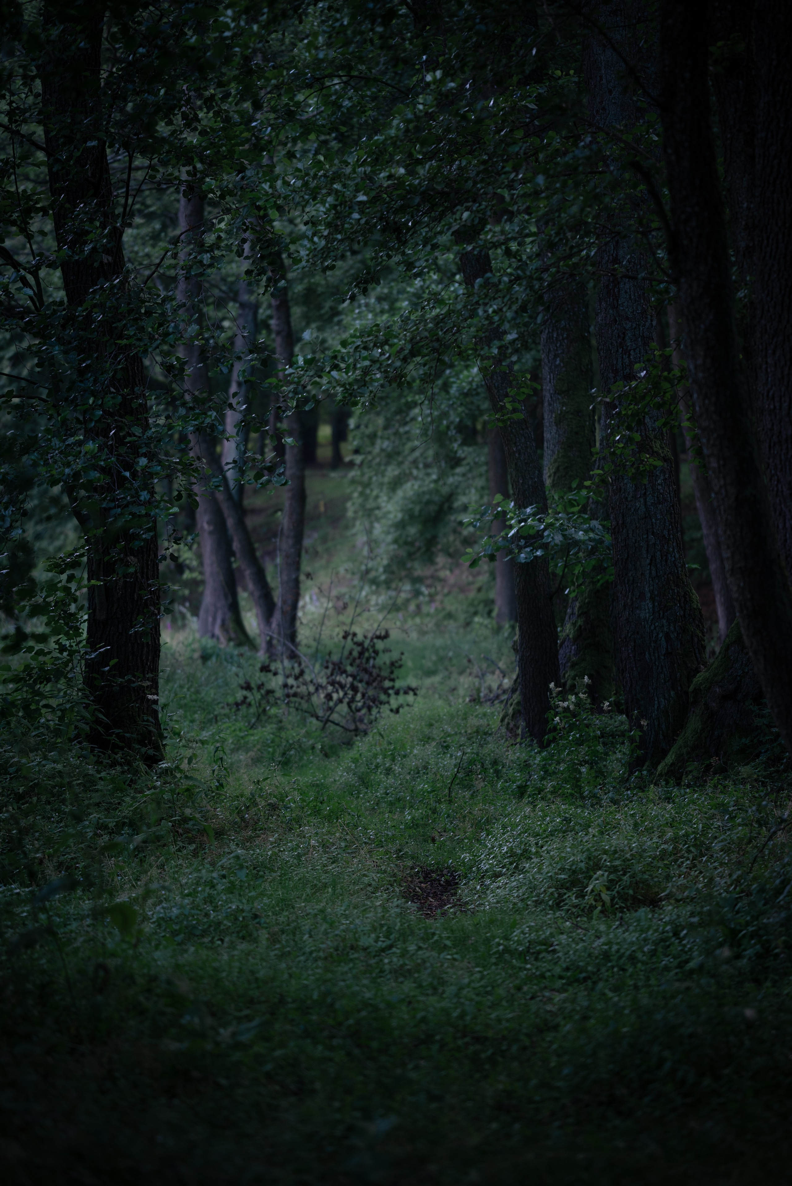 Места. Фотограф в Минске Дарья Кончакова