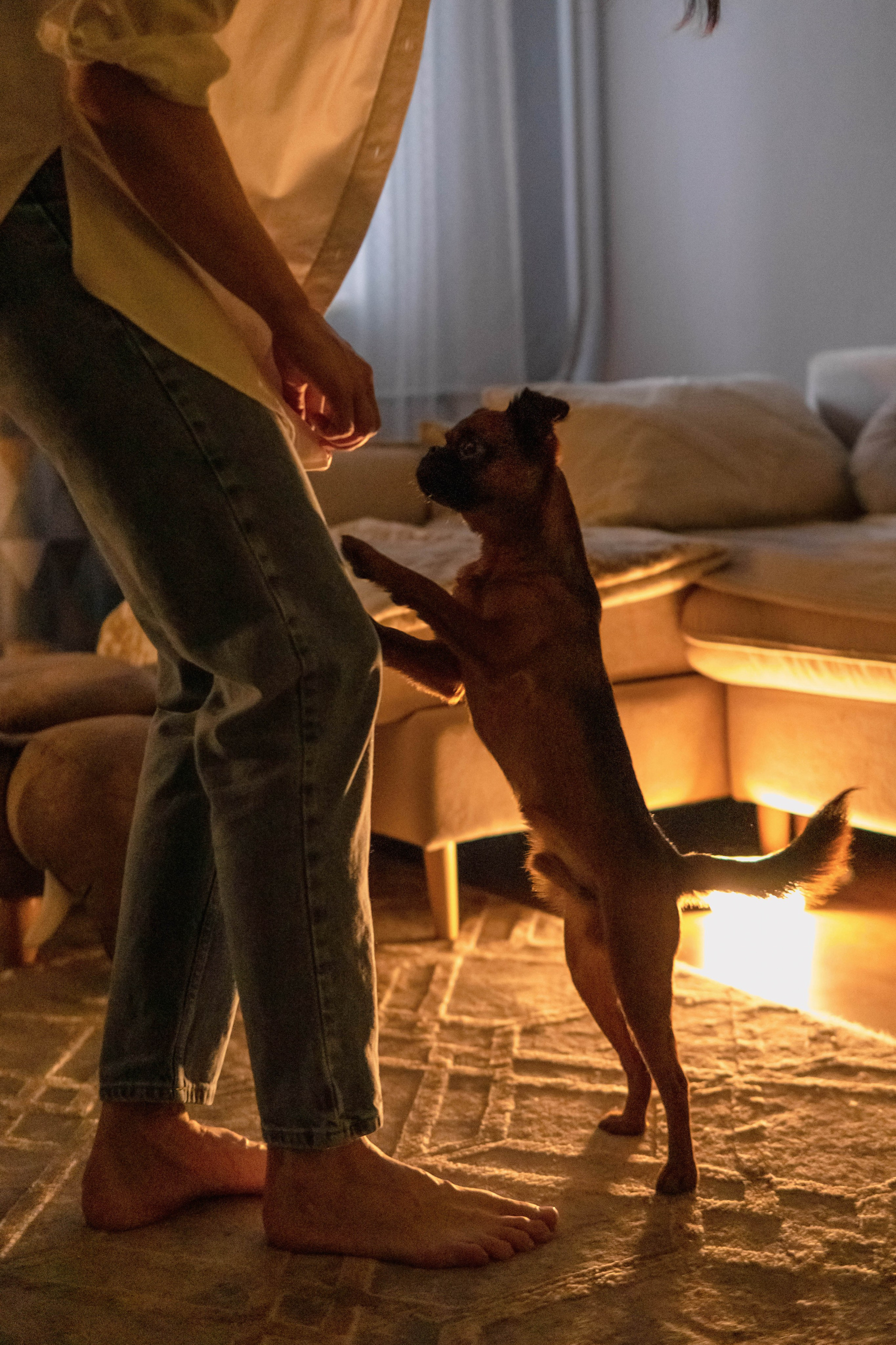 Надя и Ефим. Фотограф-анималист Ксения Воробьева, Москва