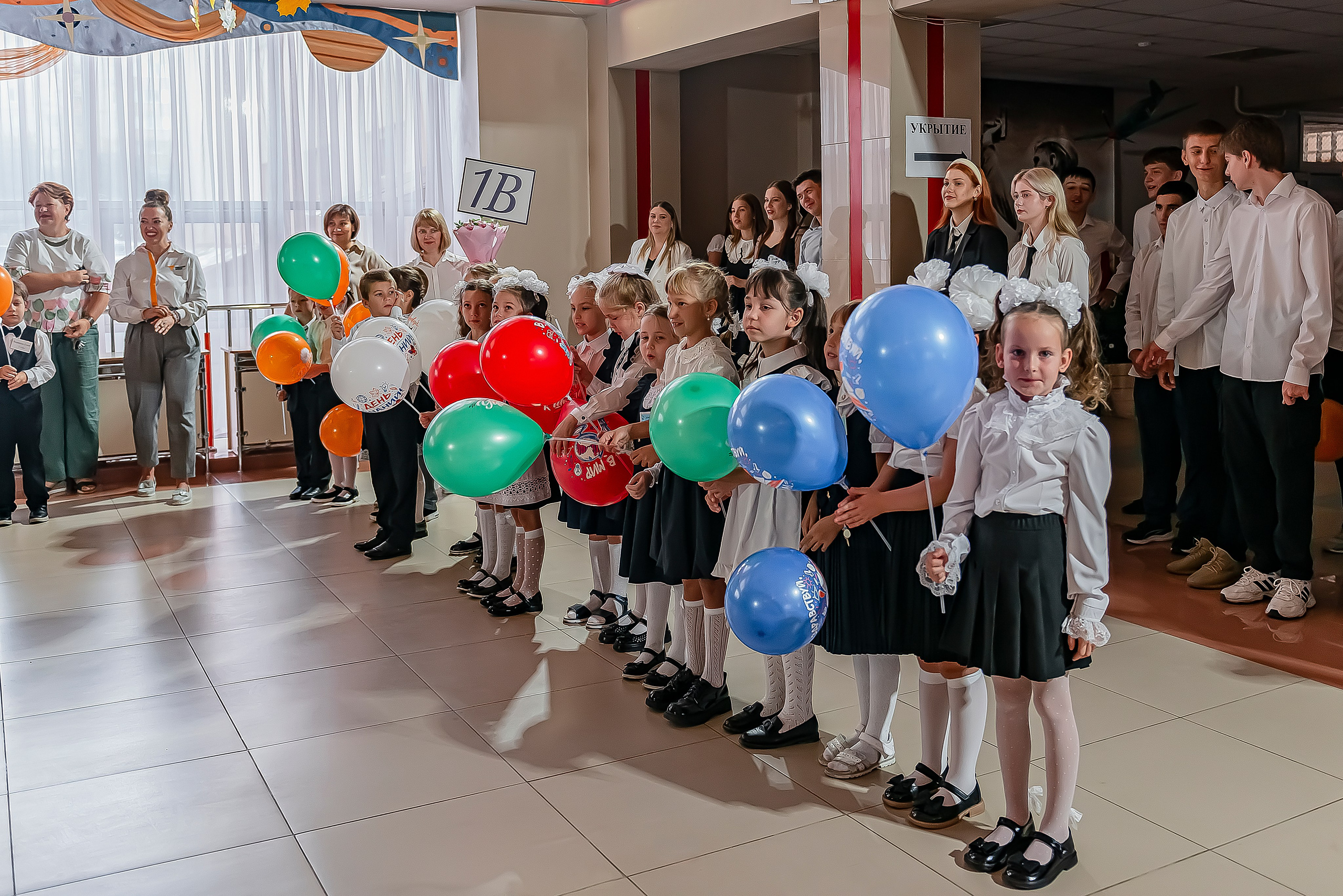 1 «В» | Гимназия № 3| г. Белгород |2024. ALBUMIA