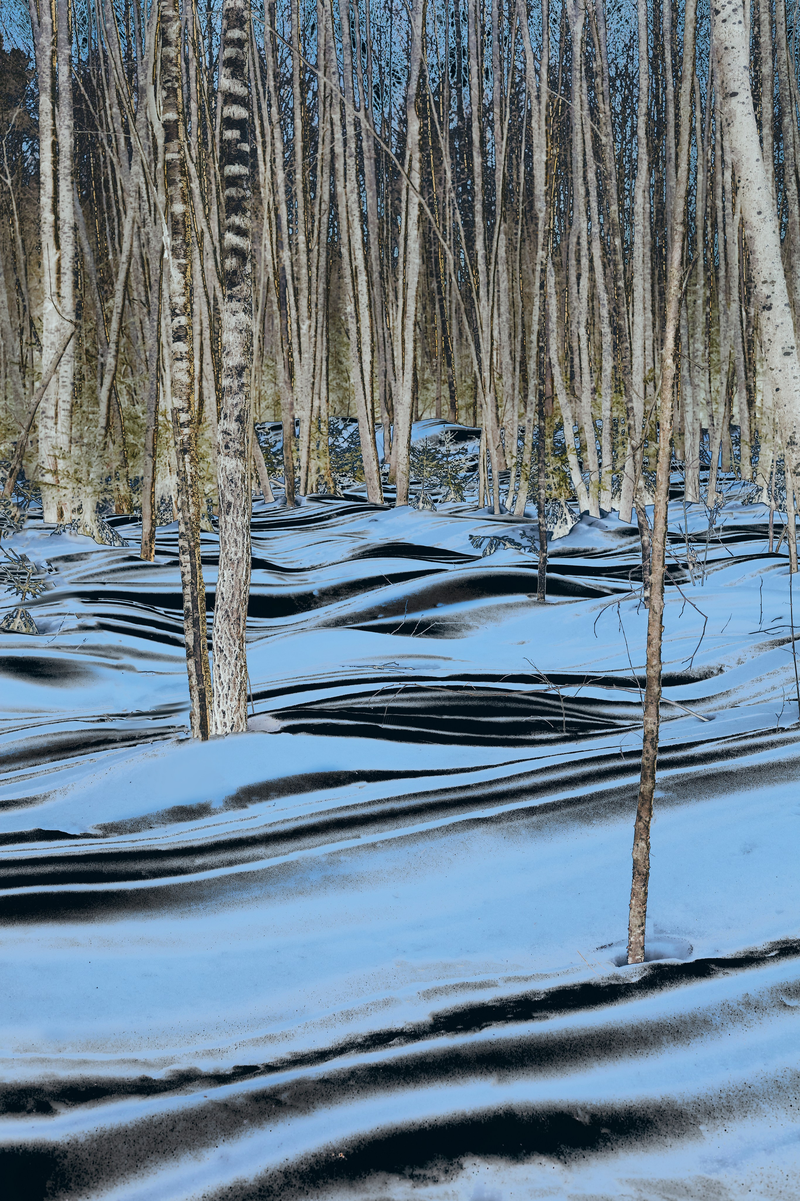 Интерьерные картины. Ангелина Журавлева Фотограф в Москве