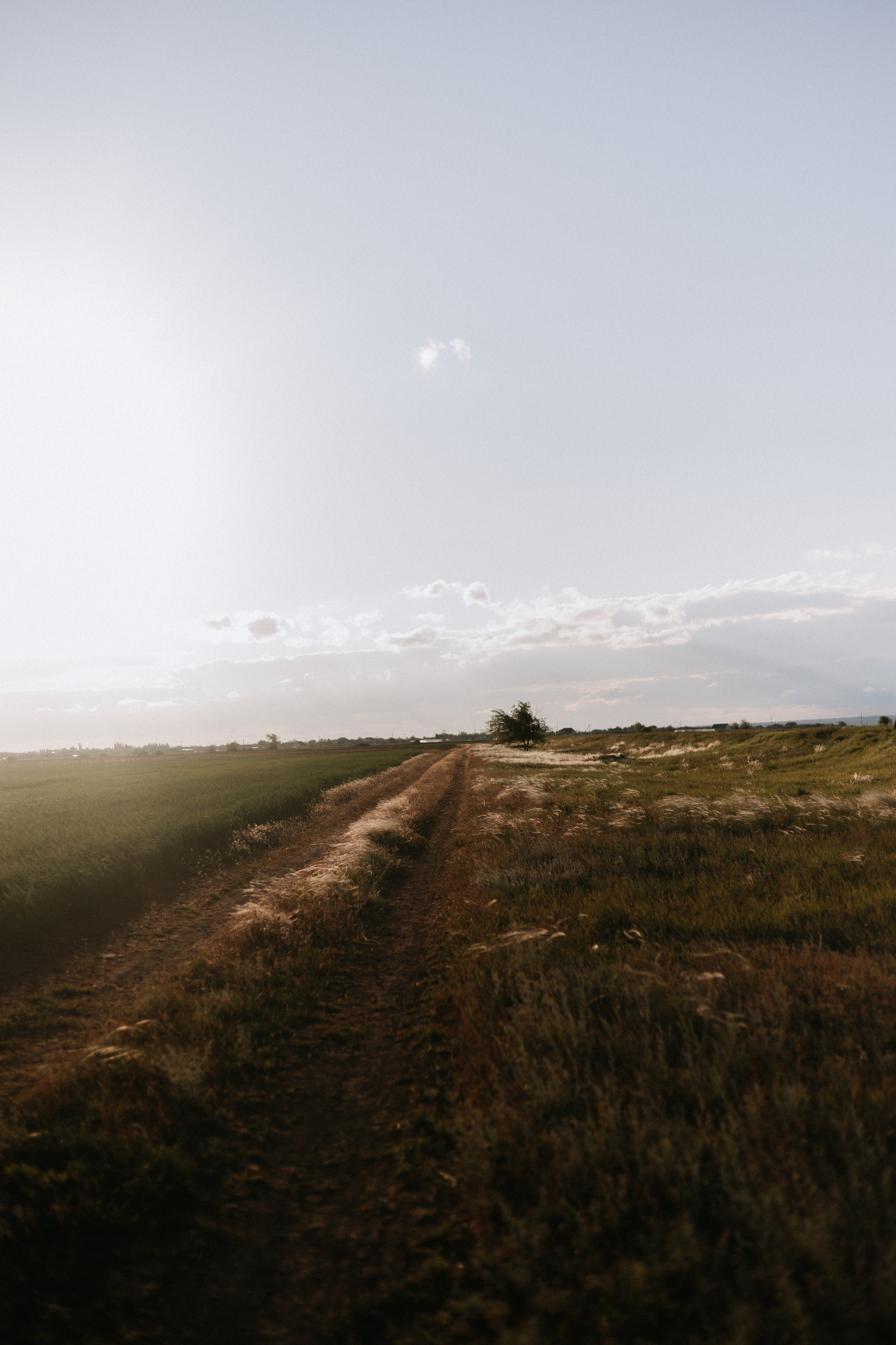 Рома и Ангелина. Ланемец Юлия — фотограф Волгоград/Волжский