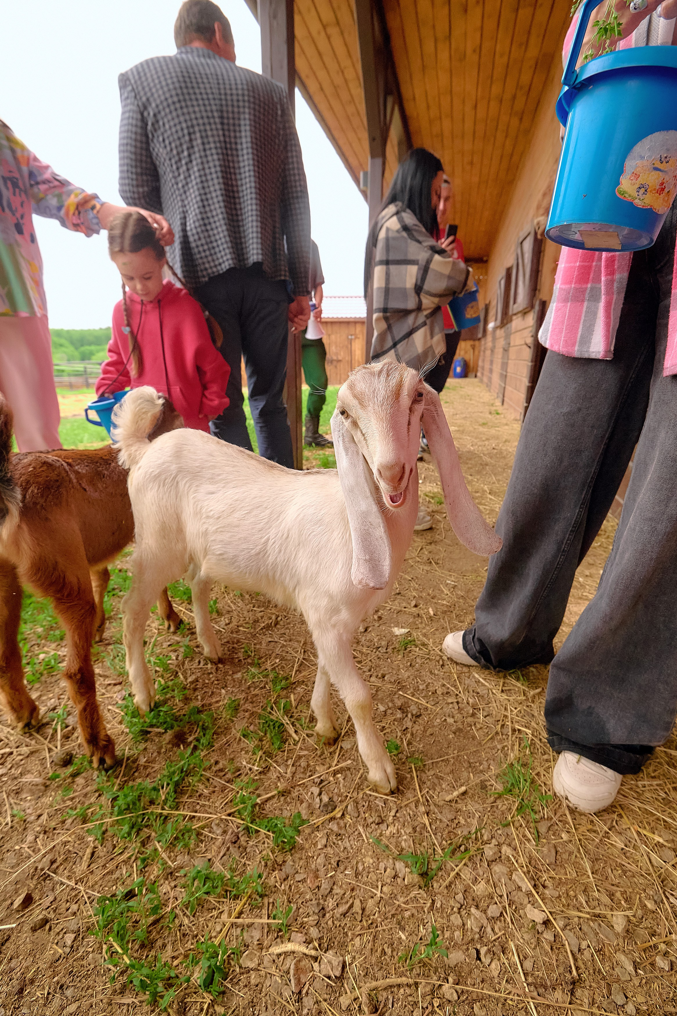 Ранчо «Шарье». Сеть магазинов «Калина-Малина». Фотограф Яковлев Роман — Красноярск