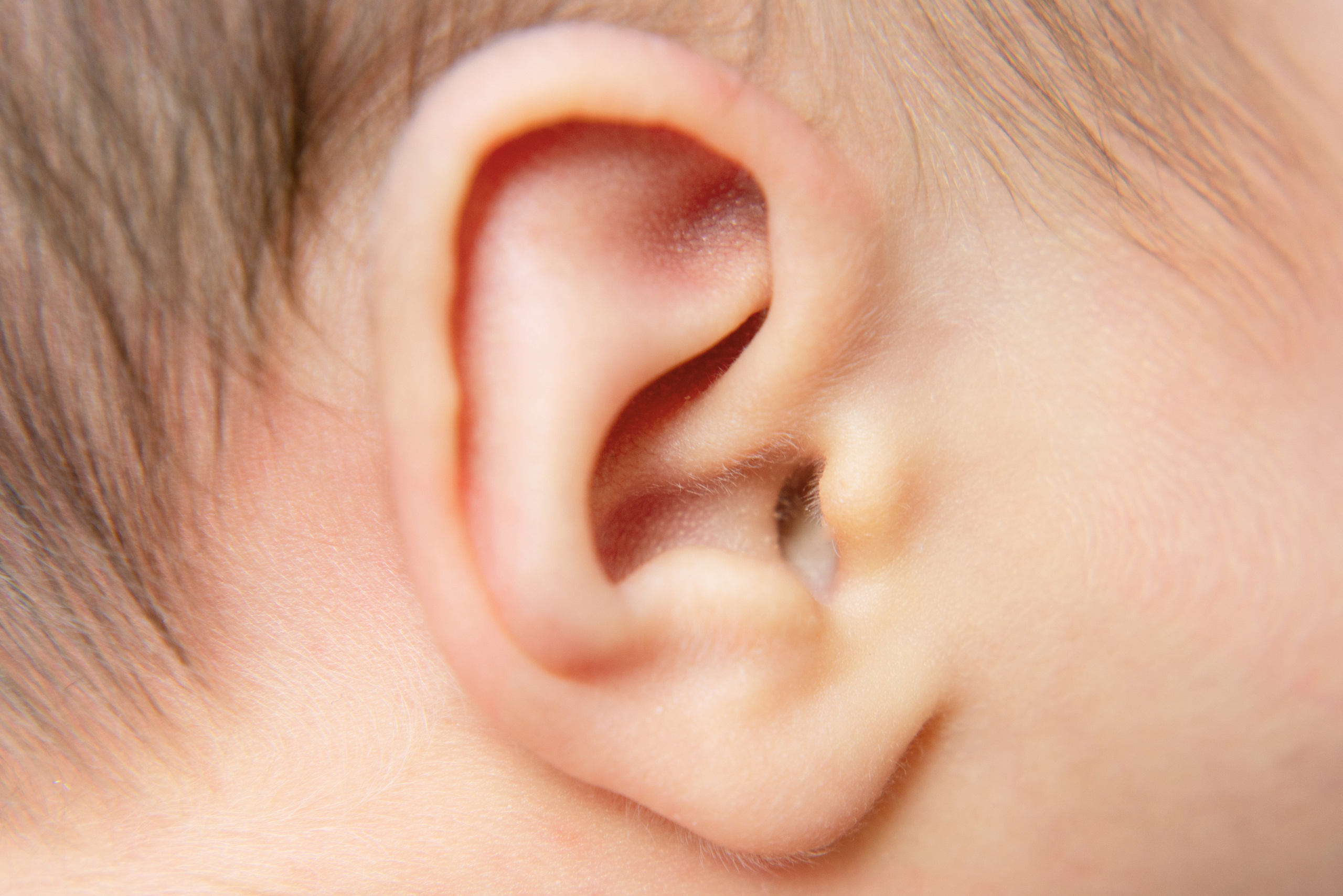 Новорожденные. Фотограф новорожденных Тюмень