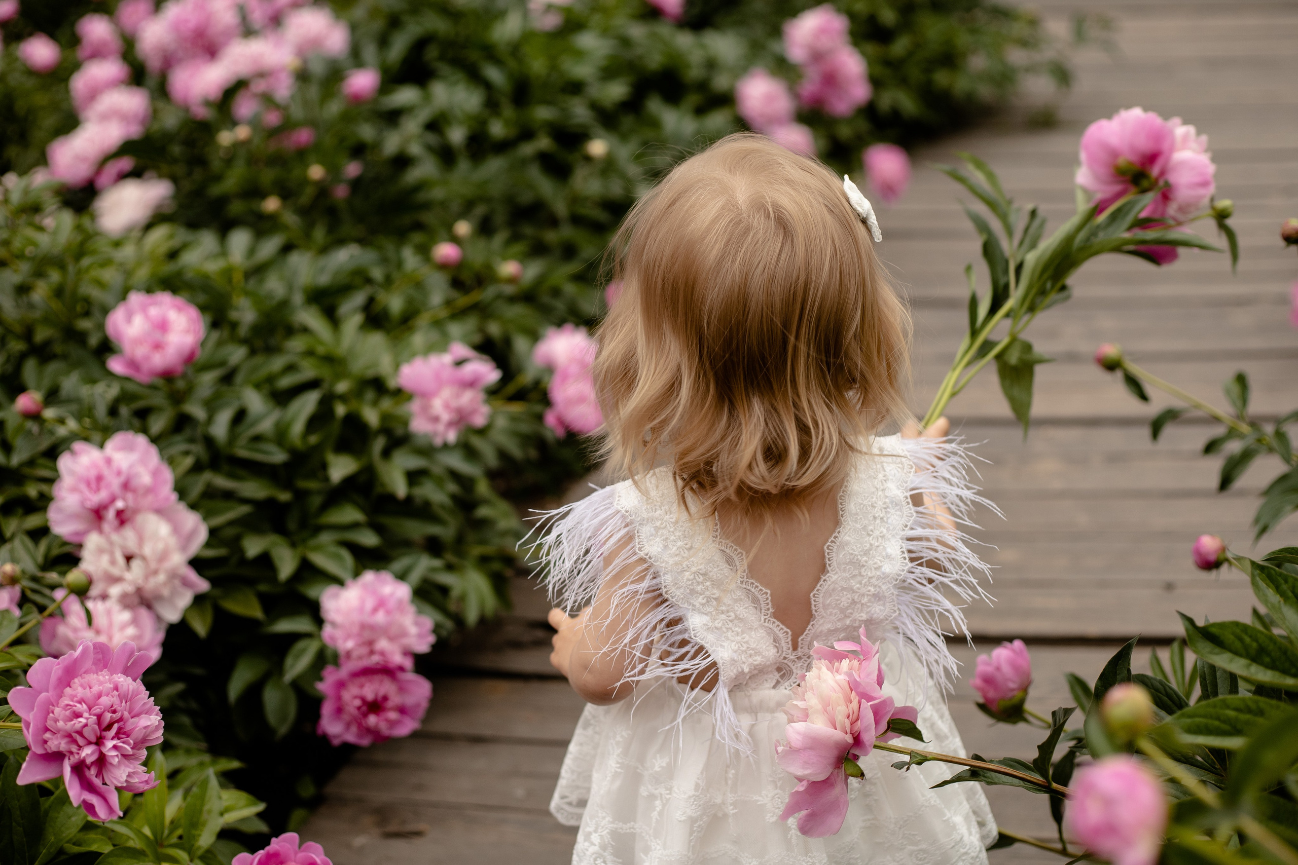 Пионовая история с Евой🌸. Семейный фотограф в Саратове Элоиза Ляпина