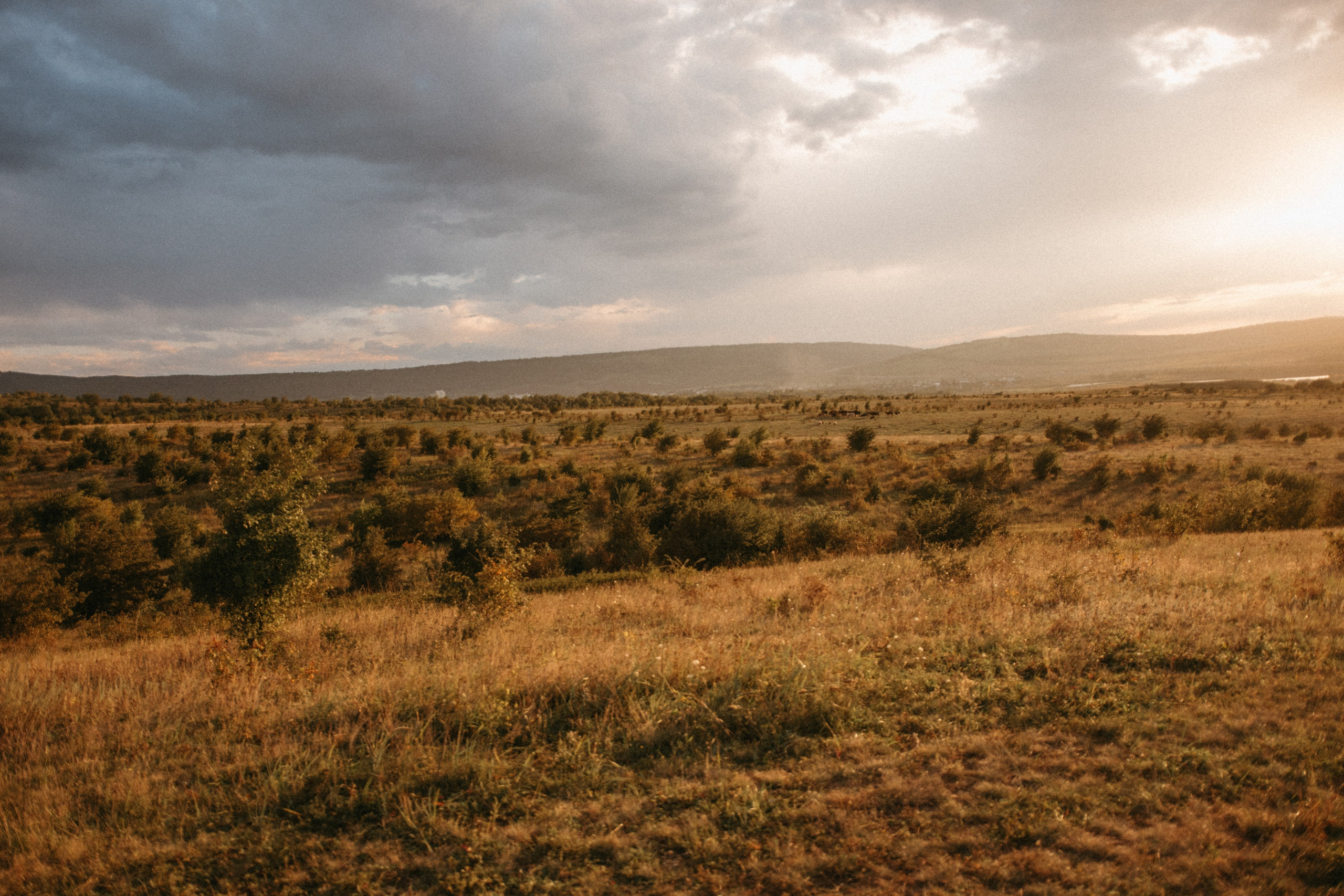 В ЛУЧАХ СОЛНЦА. Фотограф Настя Конник | Пятигорск | Эльбрус | Домбай | Архыз