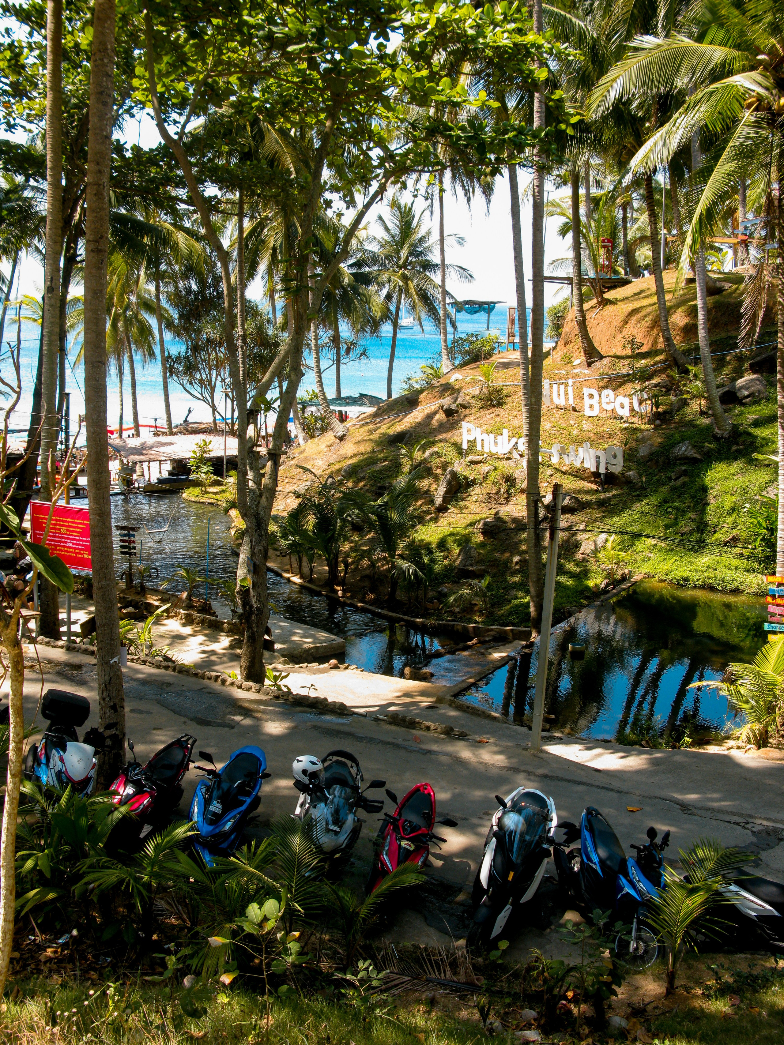 Thai. Фотограф Миланазавр