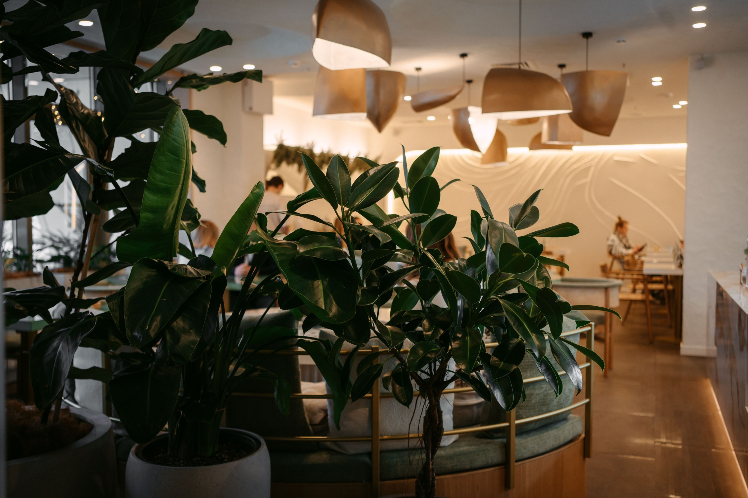 Зеленая Гречка х Enter. Саша Копылов, фотограф в Казани