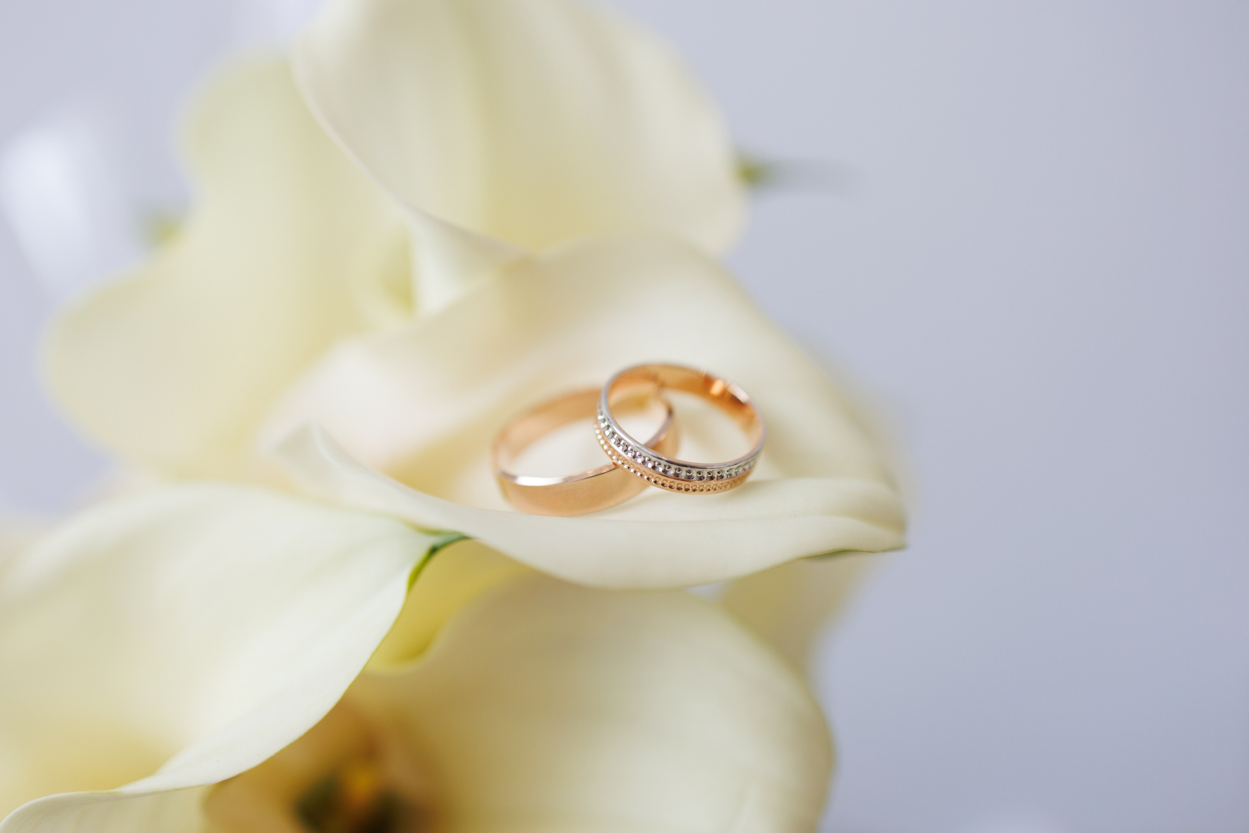 Свадебная фотосессия Тюмень. Семейный фотограф г. Тюмень