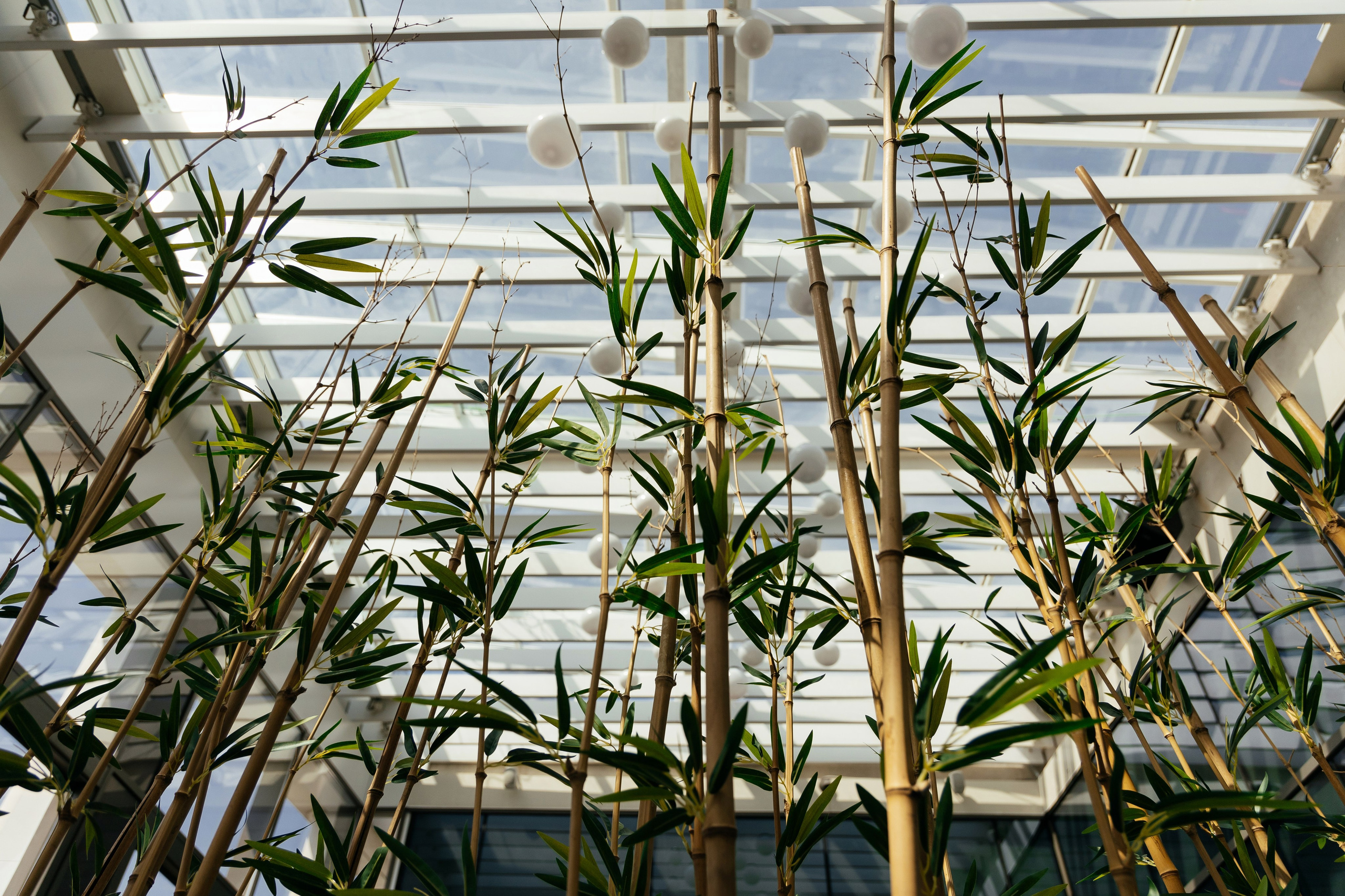 Никита и Валерия. Свадебный организатор в Ростове-на-Дону Яснов Роман