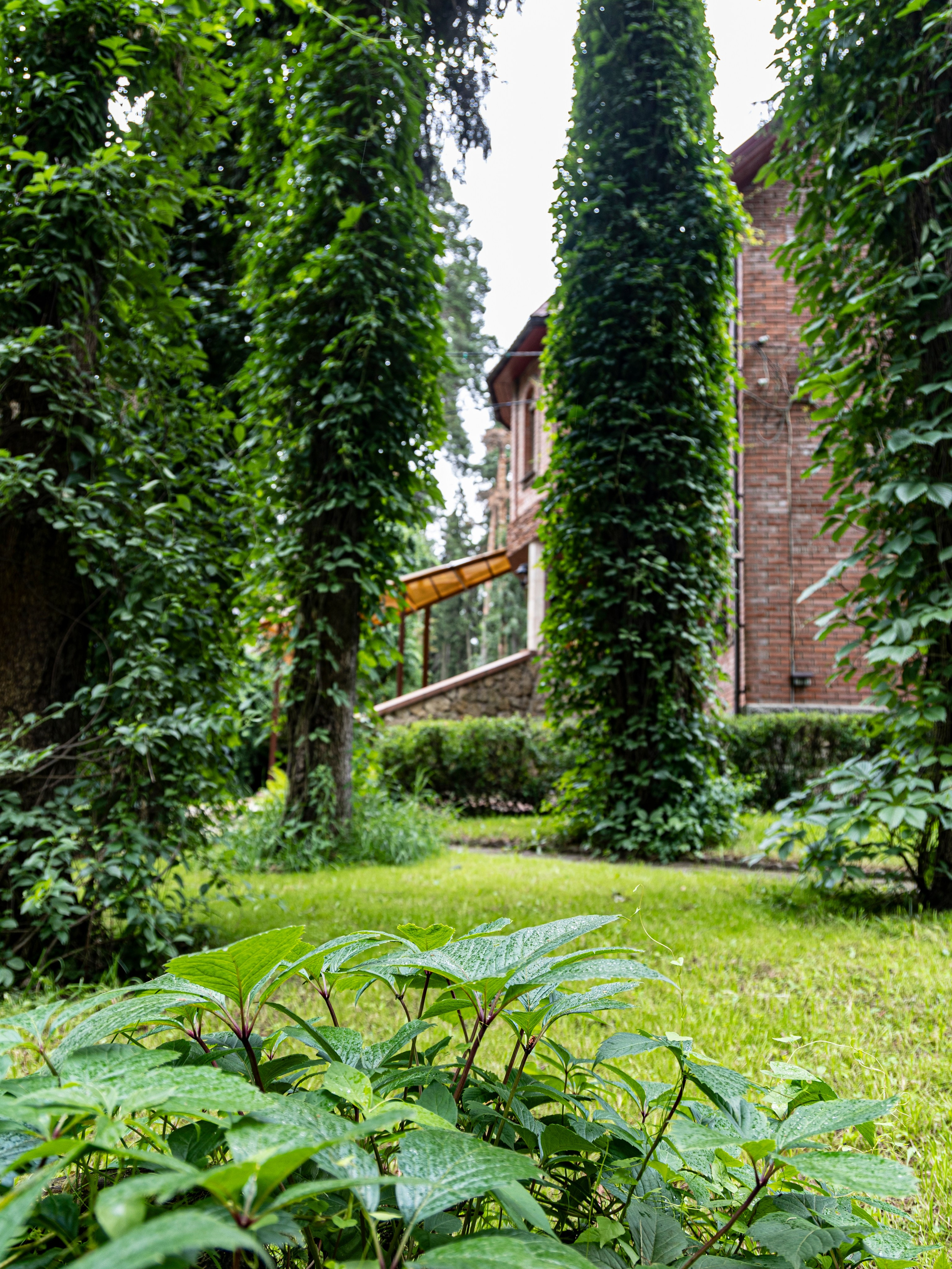 Фотограф Татьяна Марсуверских г. Жуковский, Москва и Мо. Репортажные съёмки, фотосессии. Детский, семейный фотограф. Фотограф для маркетплейсов, фотоуслуги в Жуковском Татьяна Марсуверских