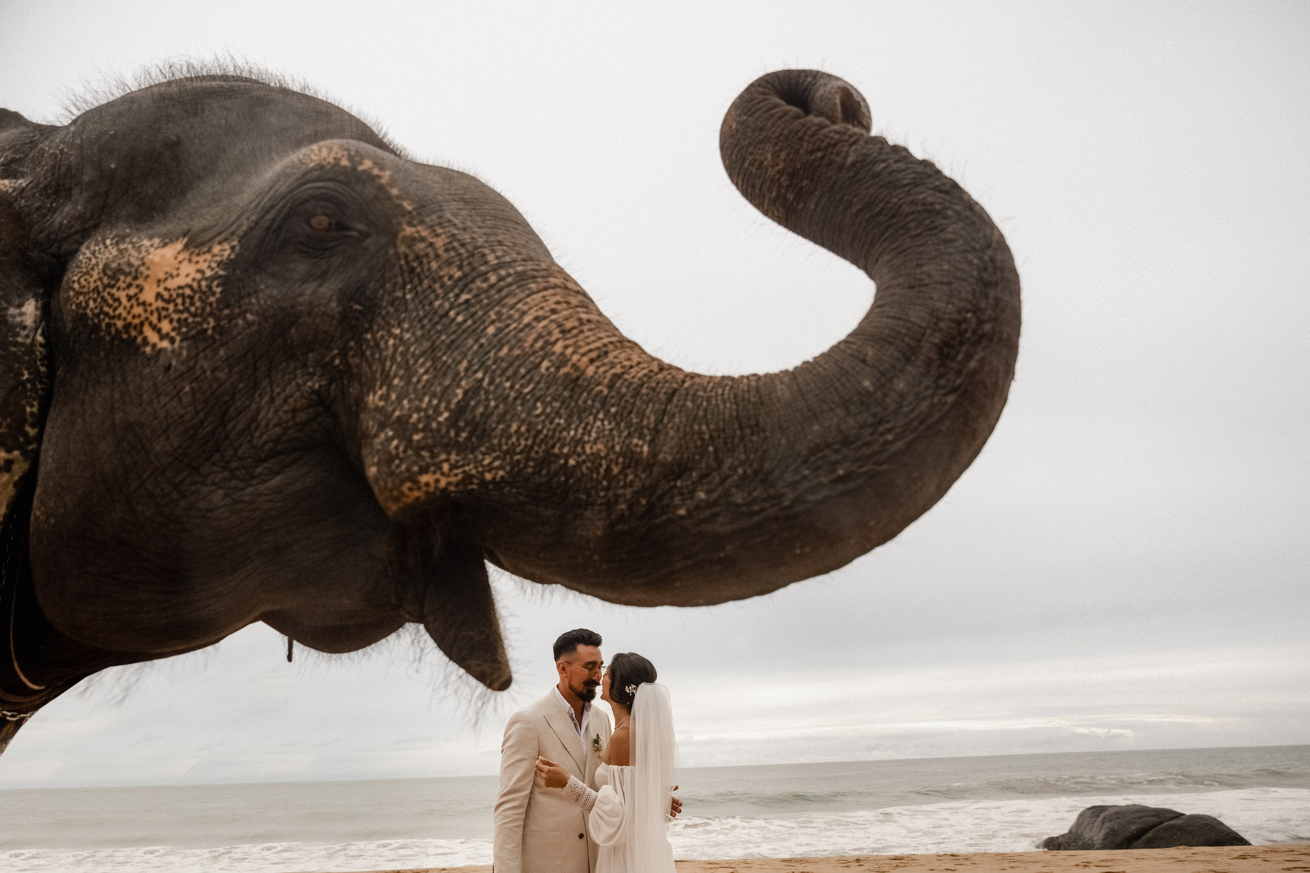 Mirza & Tamilla. Dolce_wedding