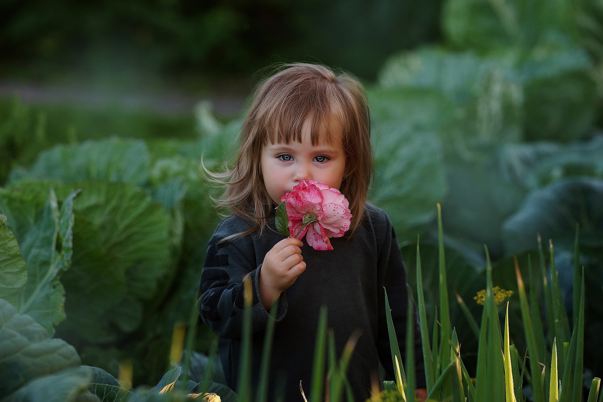 Детская съёмка. Семейный фотограф г. Новокузнецк Юлия Машникова