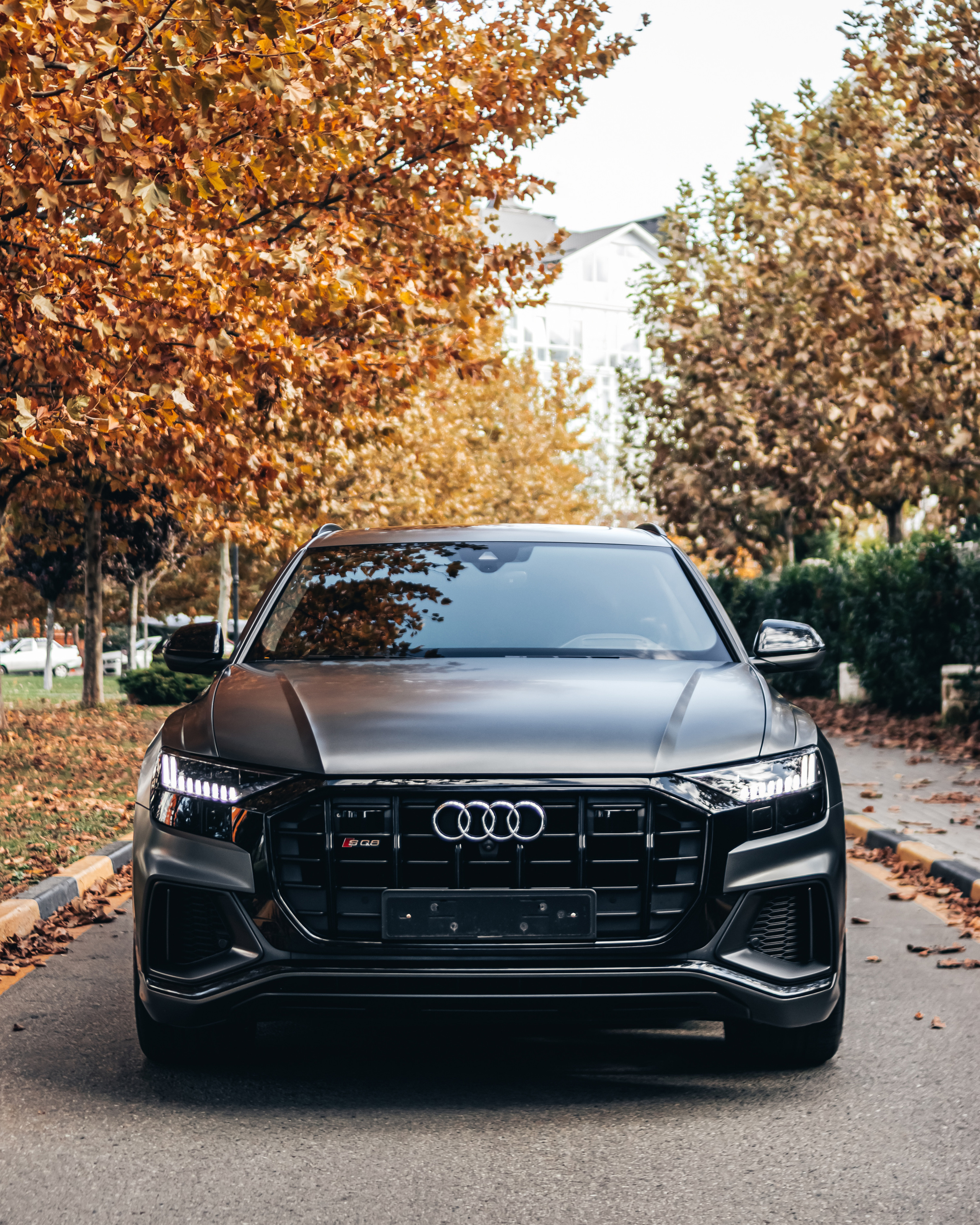 AUDI SQ8. Автомобильный фотограф, видеограф в Краснодаре Левшакова Анжелика