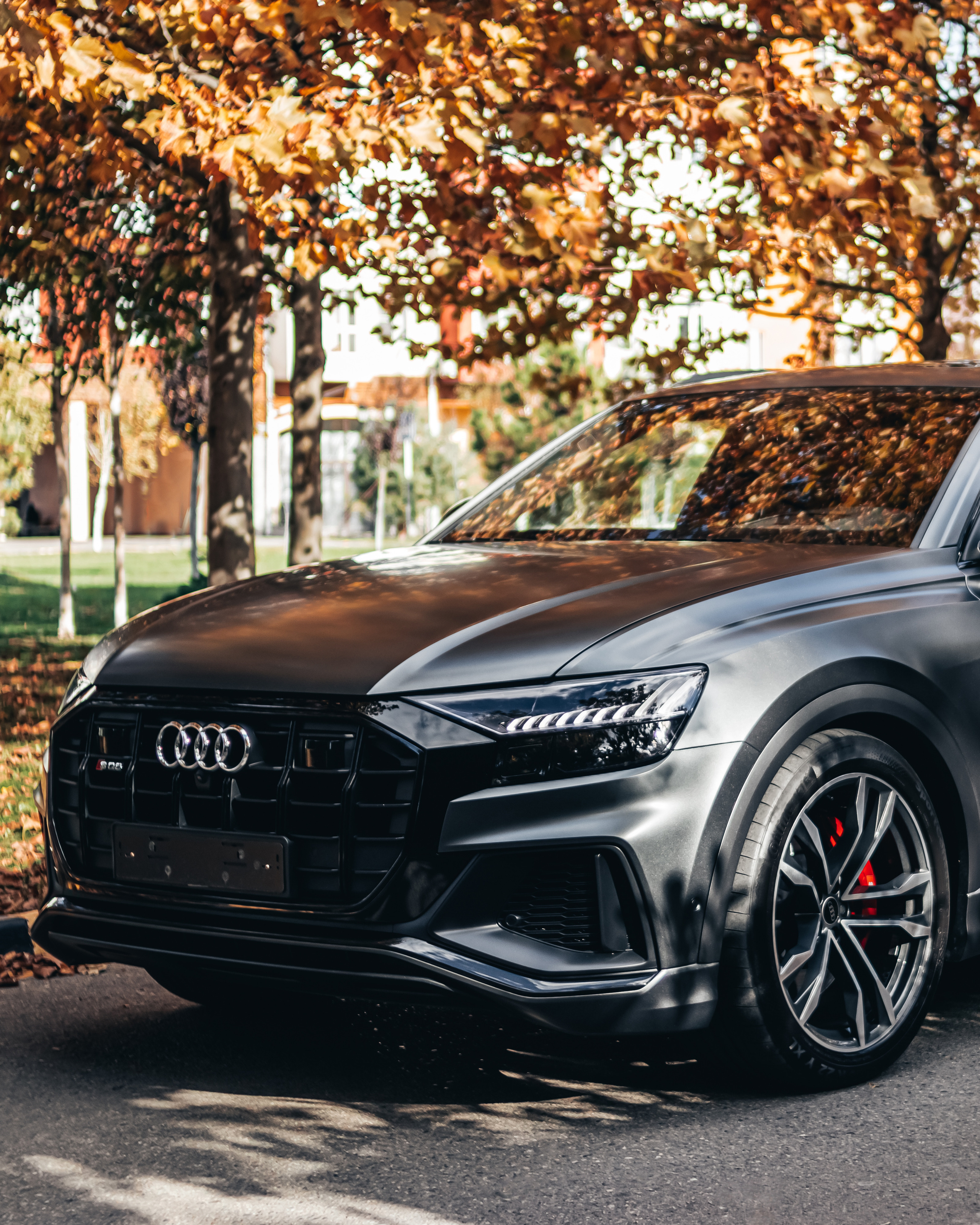 AUDI SQ8. Автомобильный фотограф, видеограф в Краснодаре Левшакова Анжелика