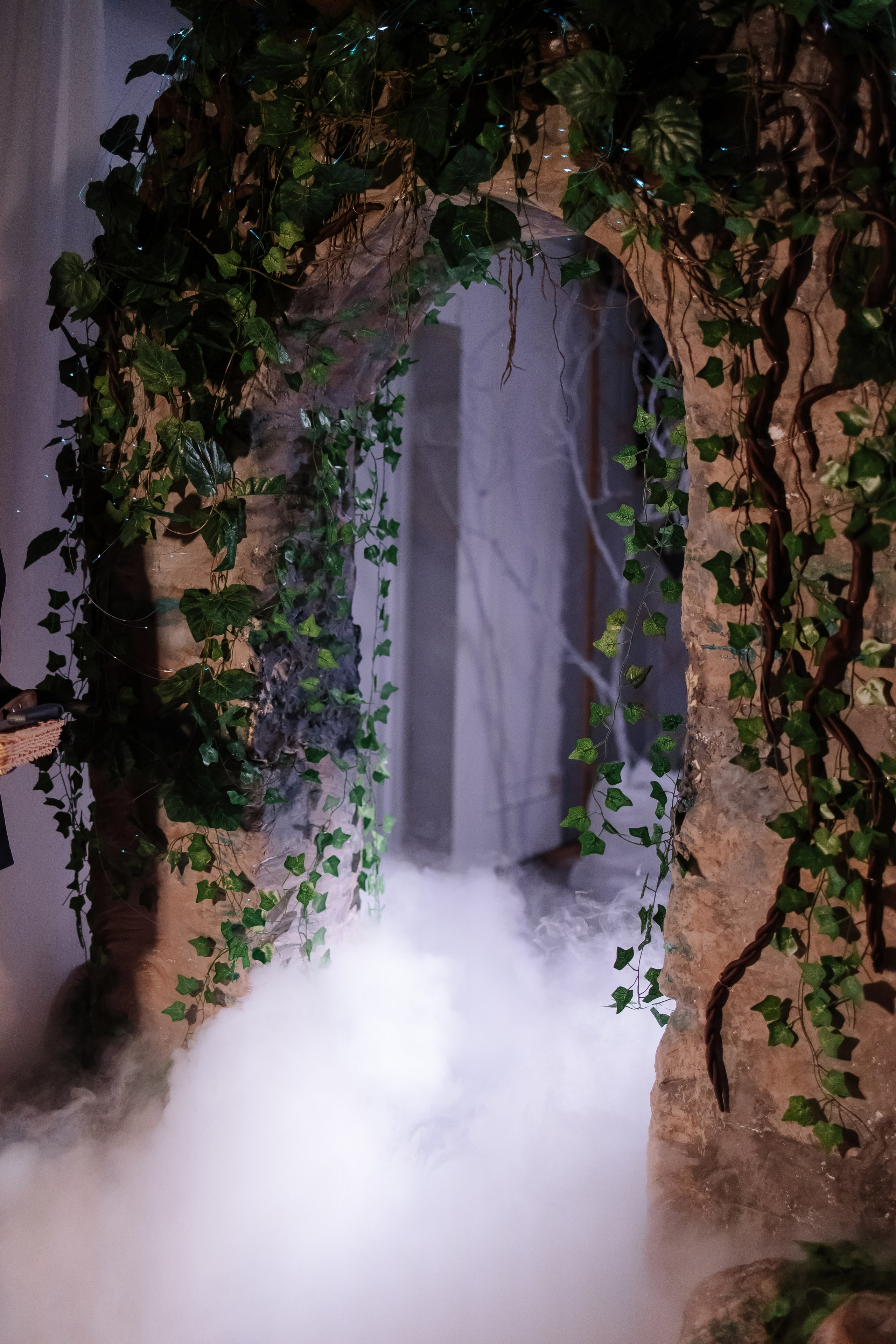 Шоу тортов 2. Свадебный фотограф