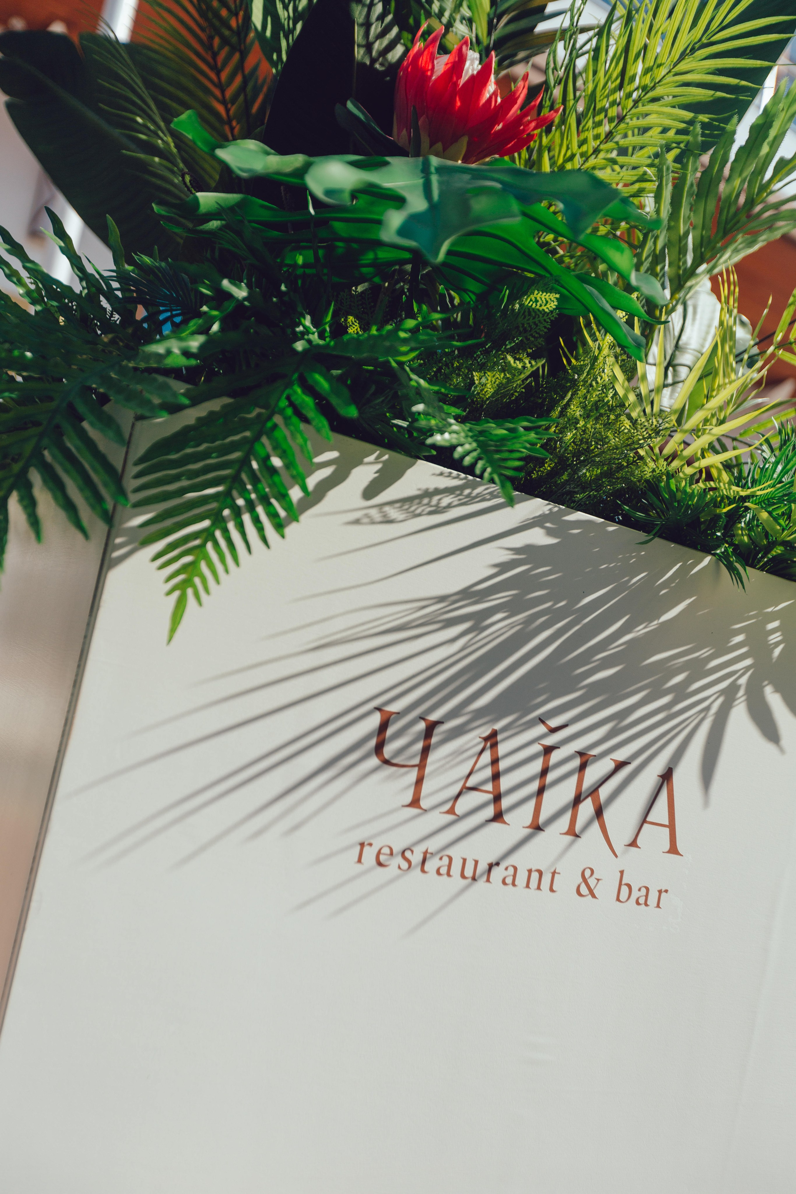 Саша и Саша. Фотограф Георгий Нигматулин