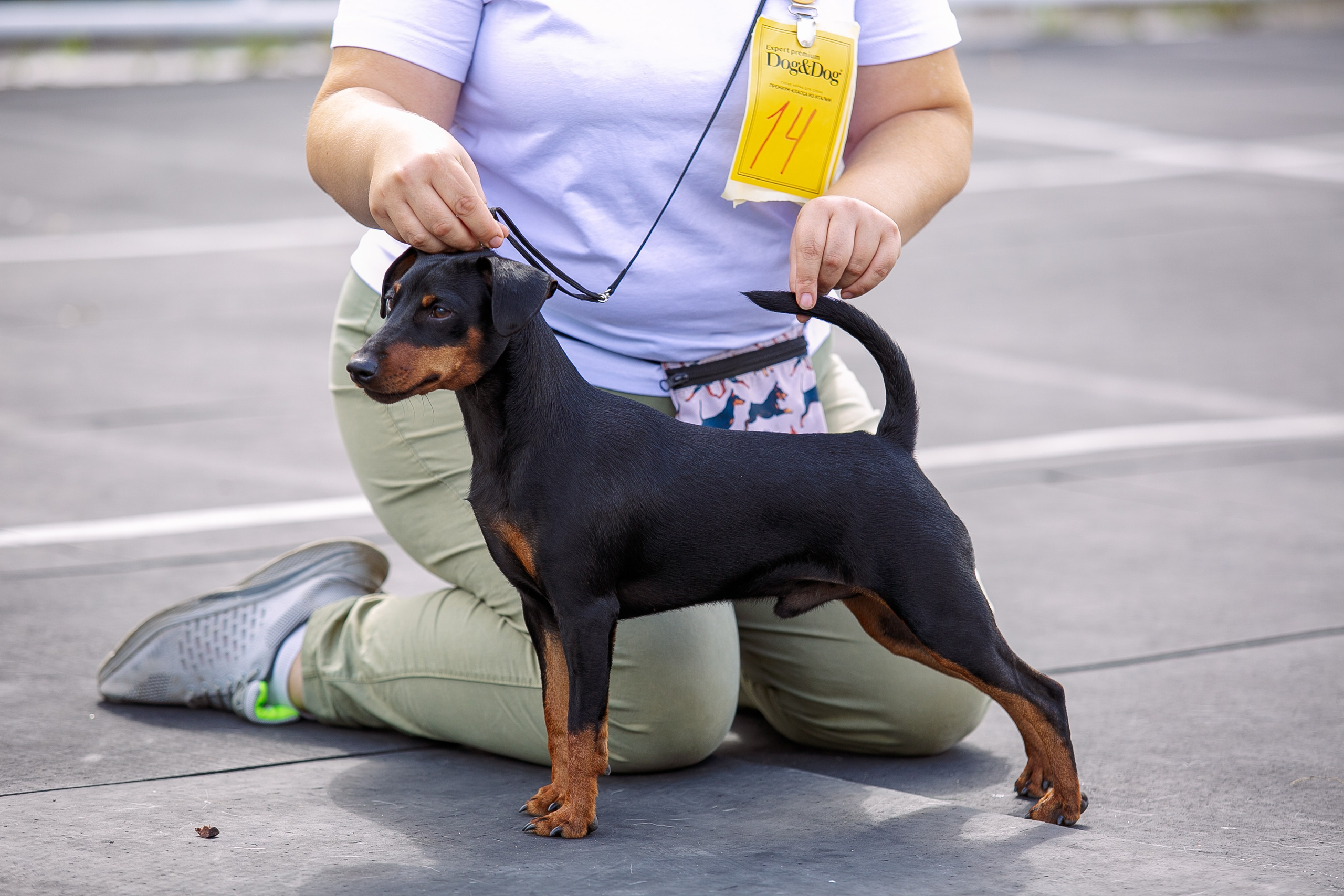 Окунулась вновь в атмосферу выставки…. Школьный фотограф в Туле Светлана Привезенцева